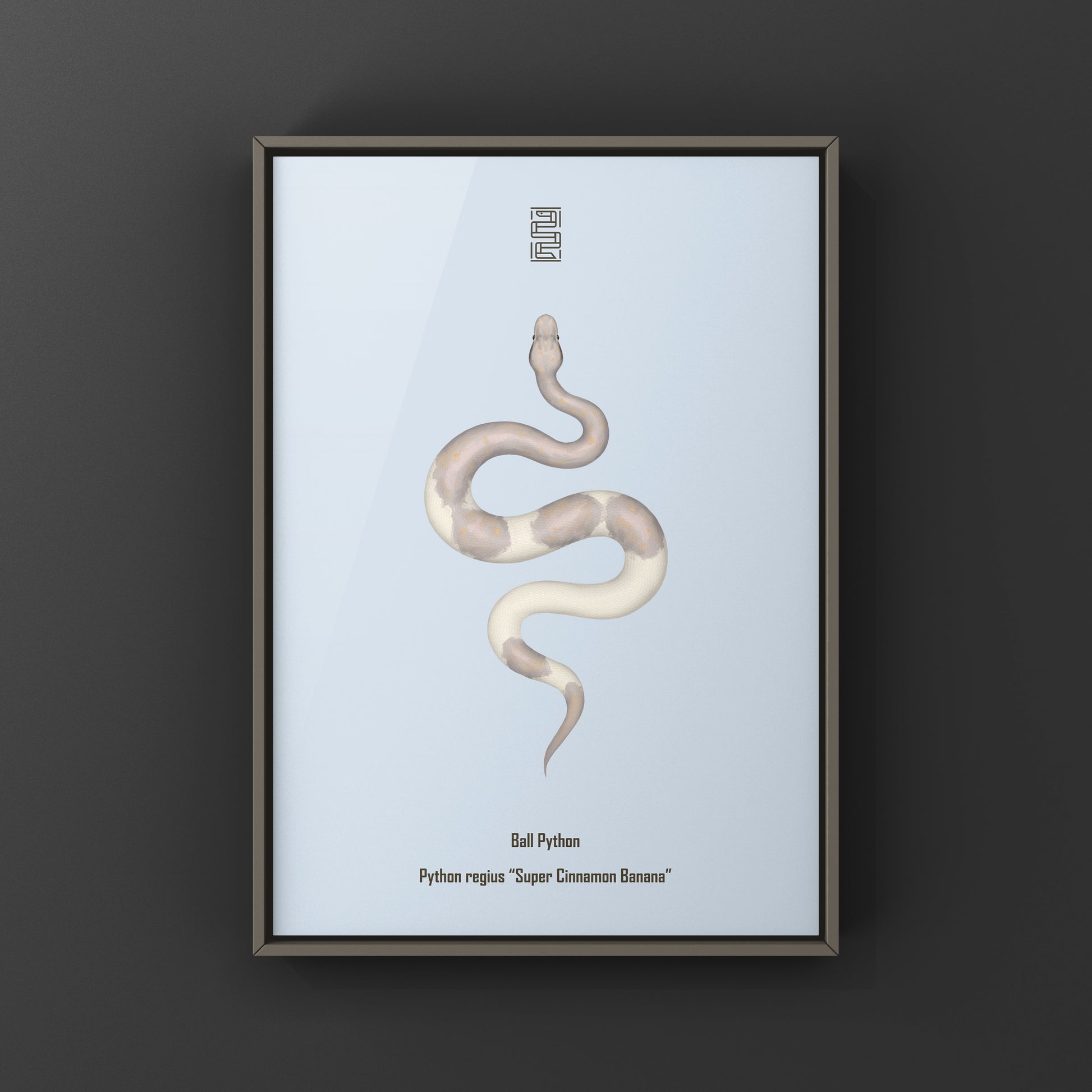 Super Cinnamon Banana Ball Python Art Print (Python regius) from The Silk Ranch