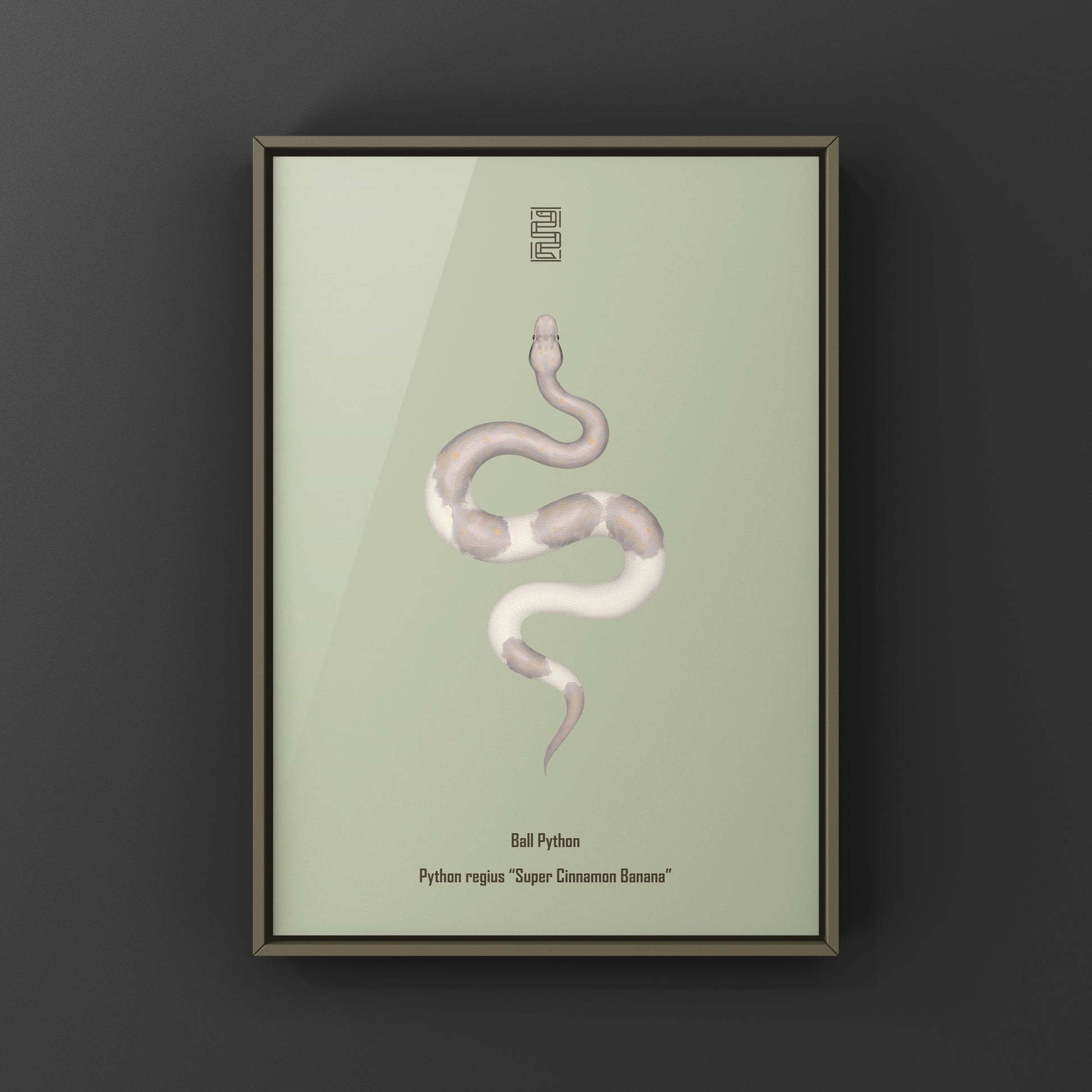 Super Cinnamon Banana Ball Python Art Print (Python regius) from The Silk Ranch