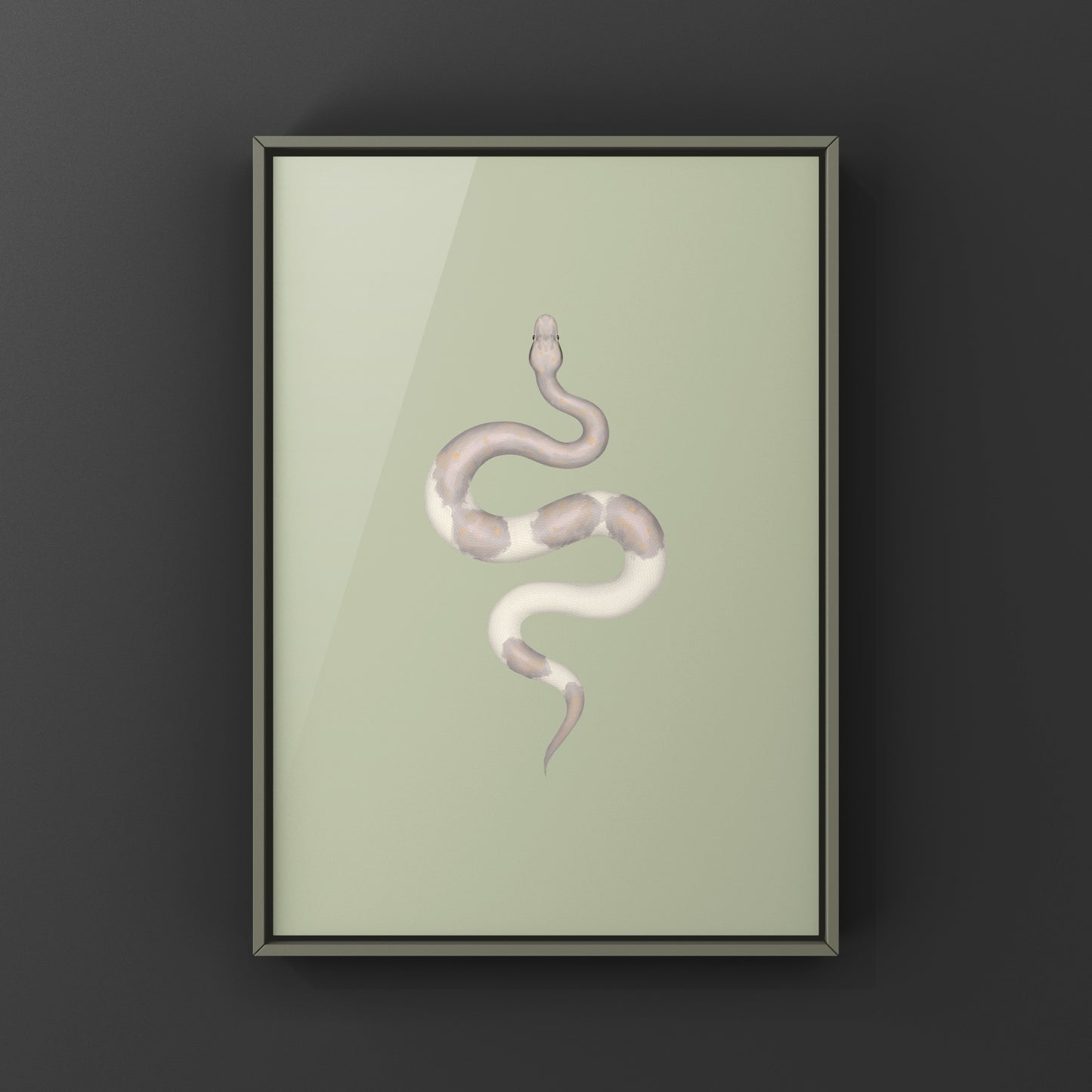 Super Cinnamon Banana Ball Python Art Print (Python regius) from The Silk Ranch