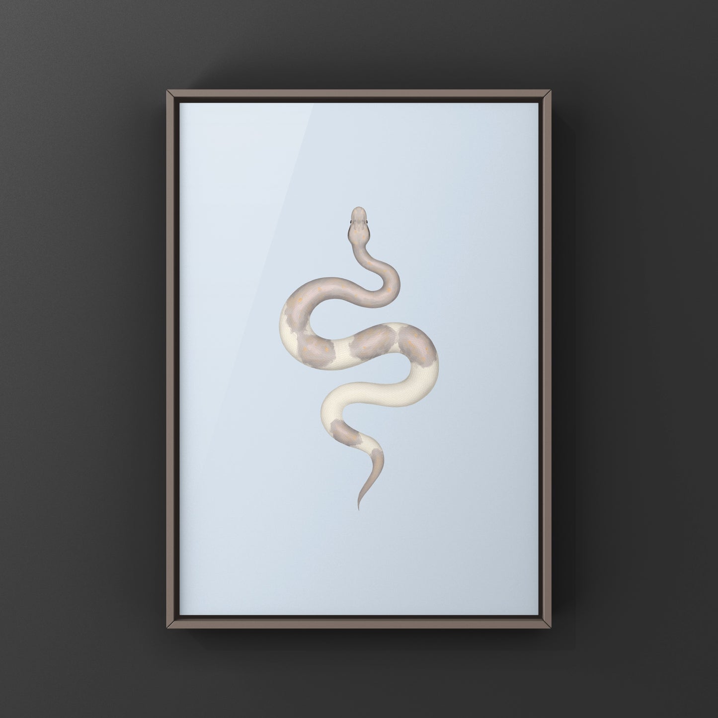 Super Cinnamon Banana Ball Python Art Print (Python regius) from The Silk Ranch