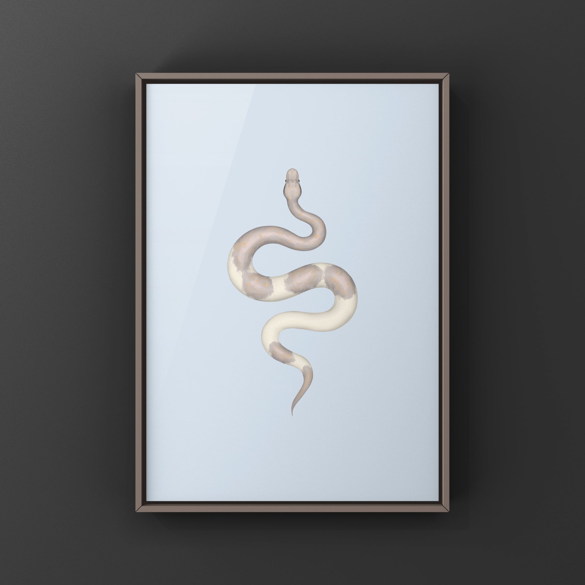 Super Cinnamon Banana Ball Python Art Print (Python regius) from The Silk Ranch
