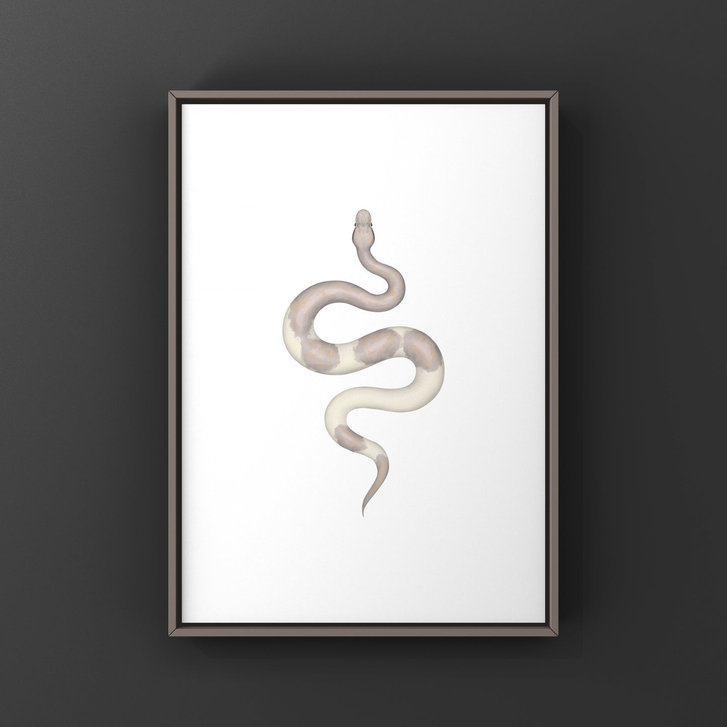 Super Cinnamon Banana Ball Python Art Print (Python regius) from The Silk Ranch