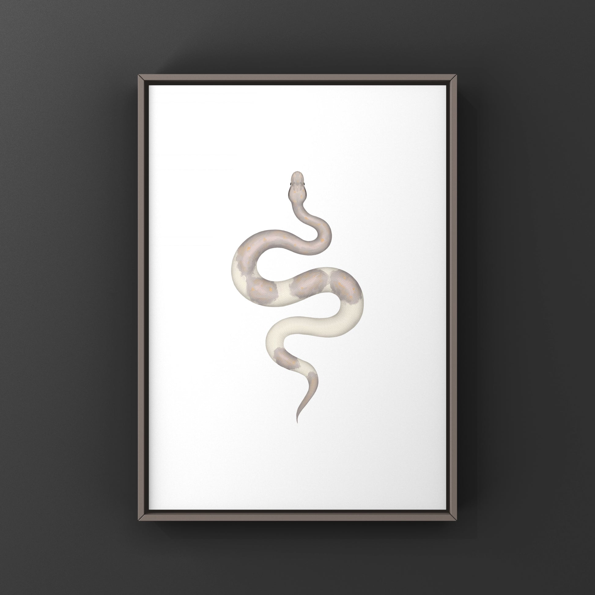 Super Cinnamon Banana Ball Python Art Print (Python regius) from The Silk Ranch