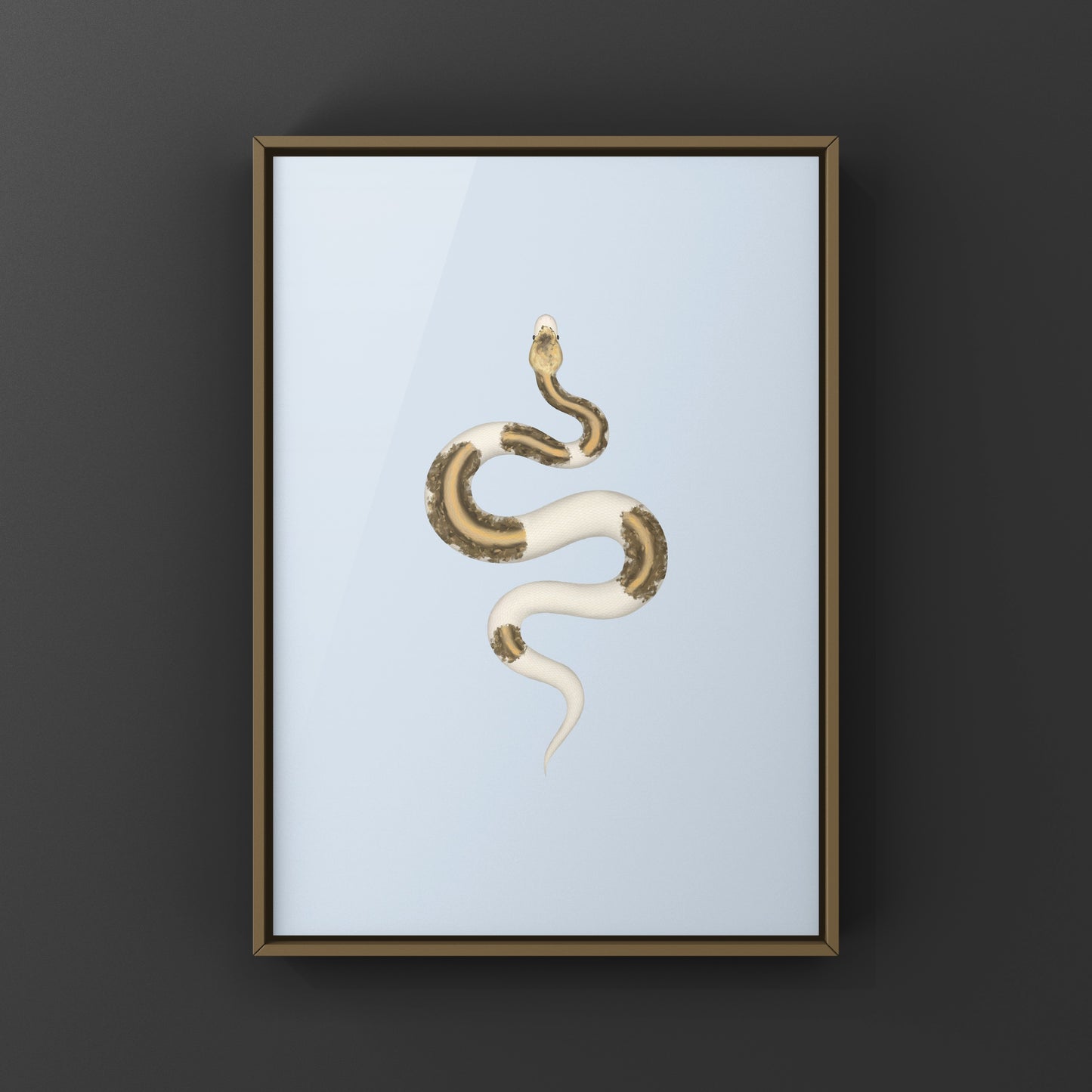 Greymatter Ball Python Art Print (Python regius) from The Silk Ranch