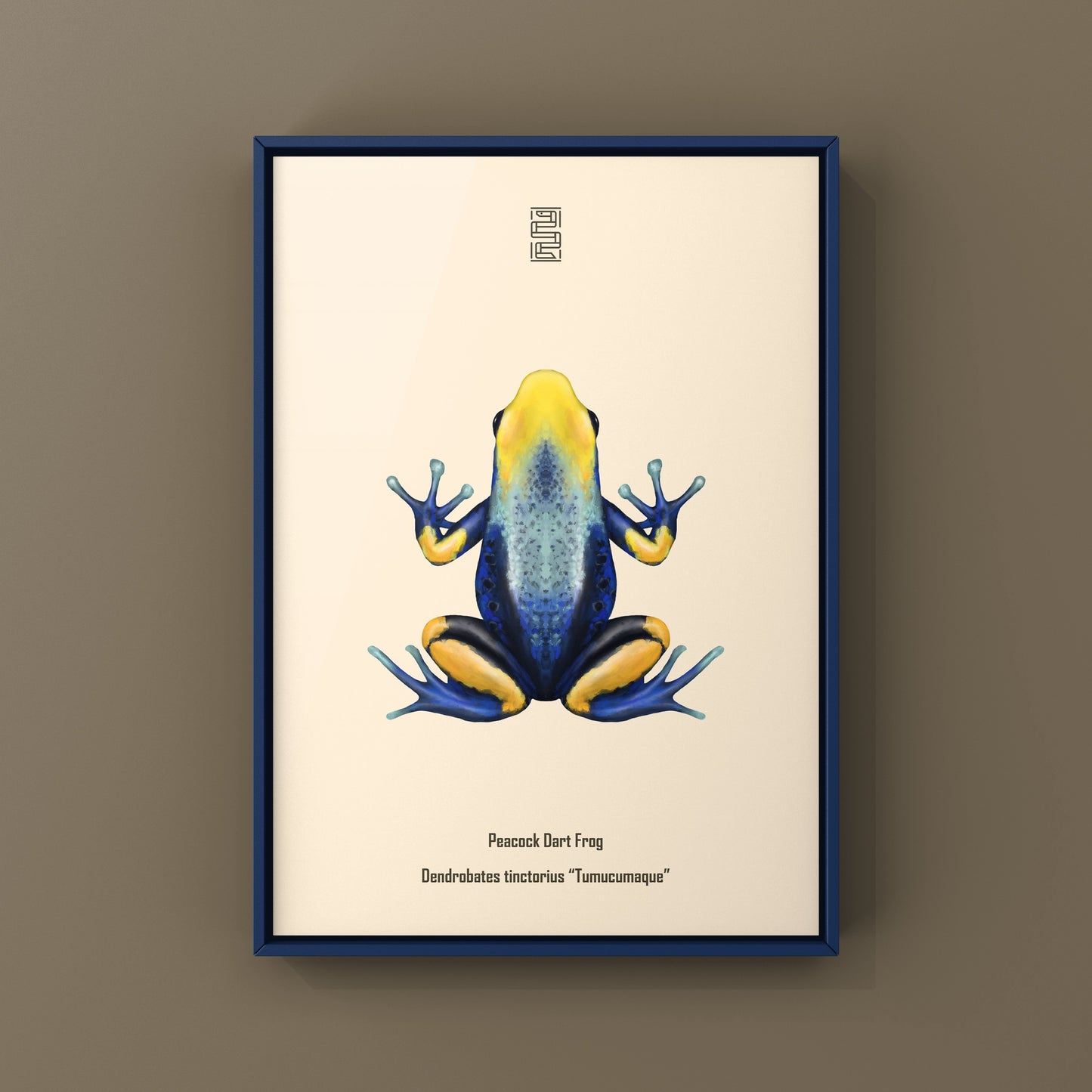 Peacock Dart Frog Art Print (Dendrobates tinctorius "Tumucumaque") from The Silk Ranch