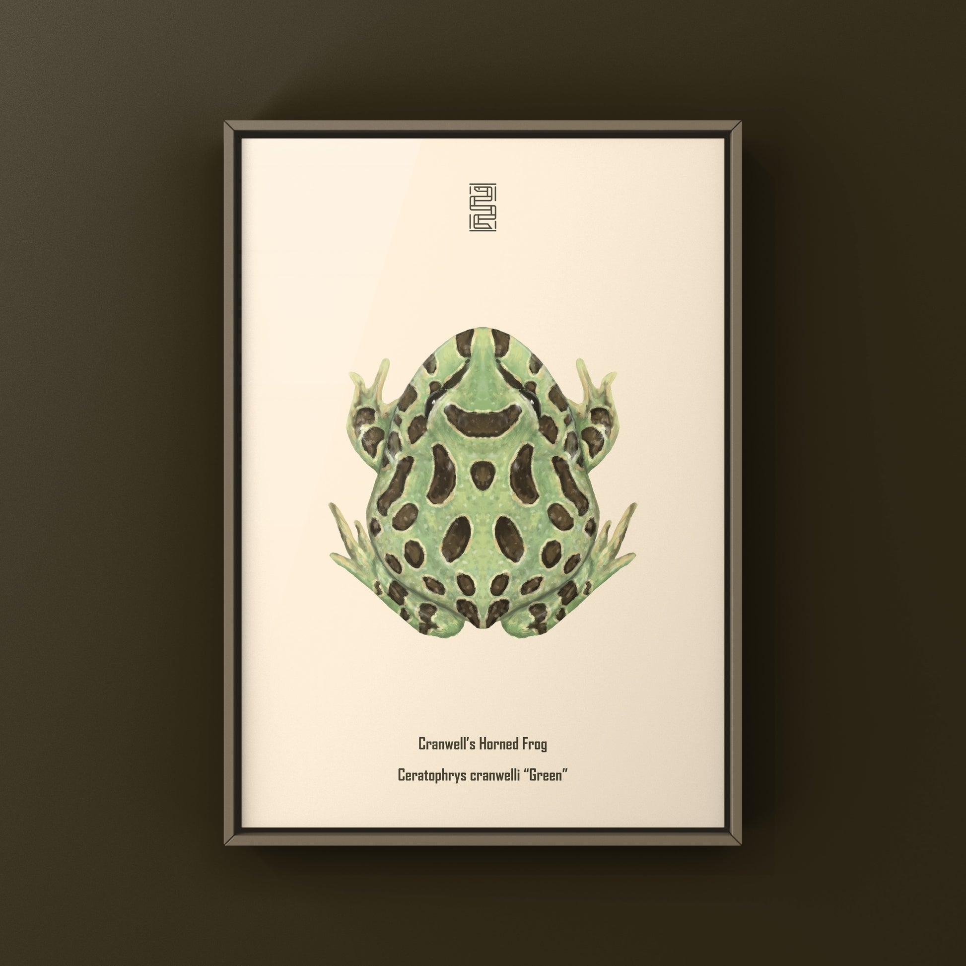 Green Pacman Frog Art Print (Ceratophrys cranwelli) from The Silk Ranch