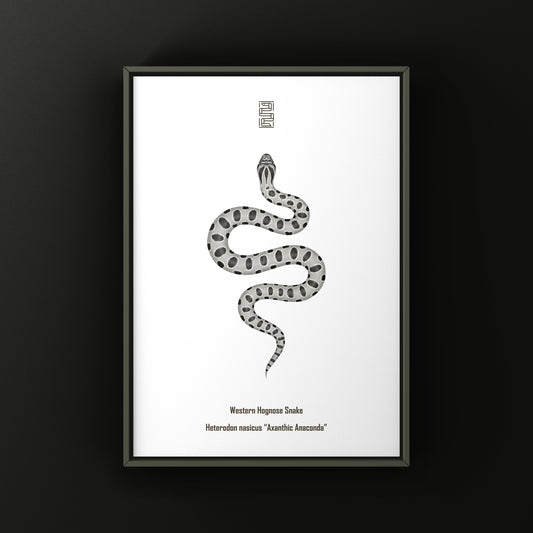 Axanthic Anaconda Western Hognose Snake Art Print (Heterodon nasicus) from The Silk Ranch