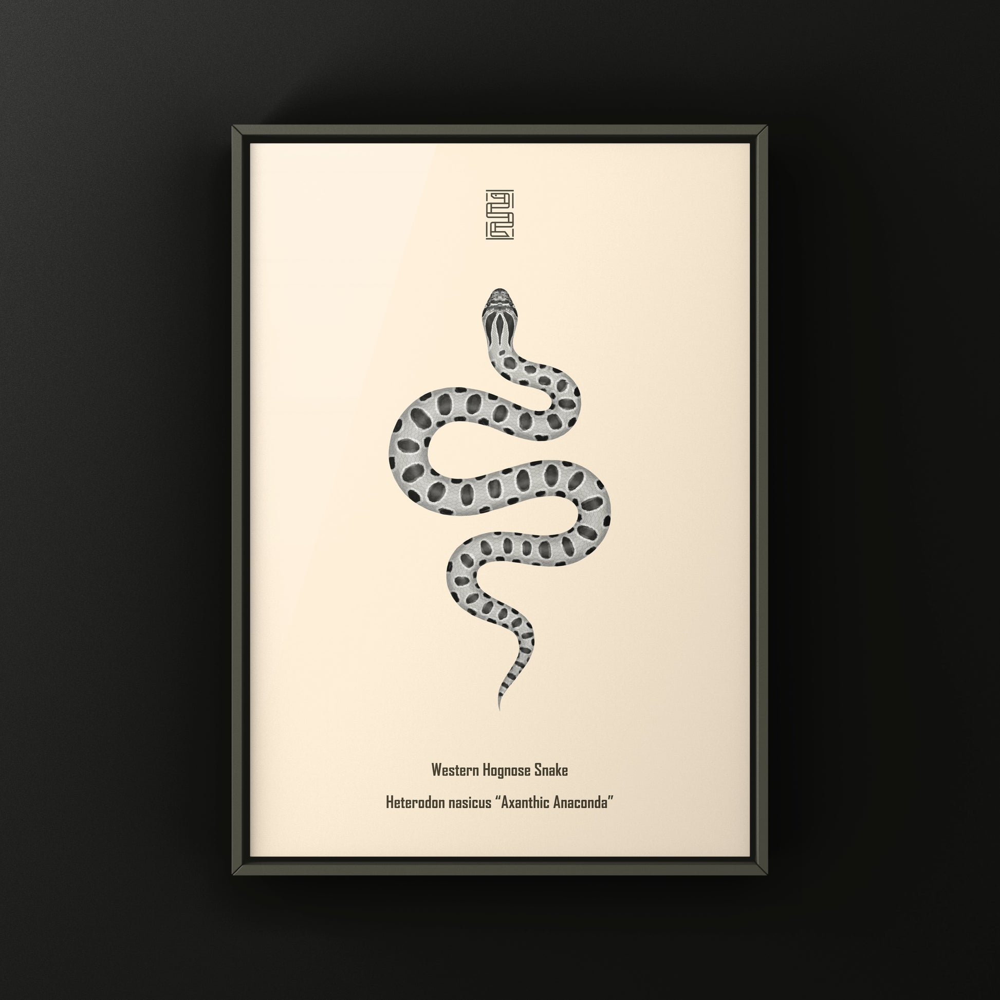 Axanthic Anaconda Western Hognose Snake Art Print (Heterodon nasicus) from The Silk Ranch