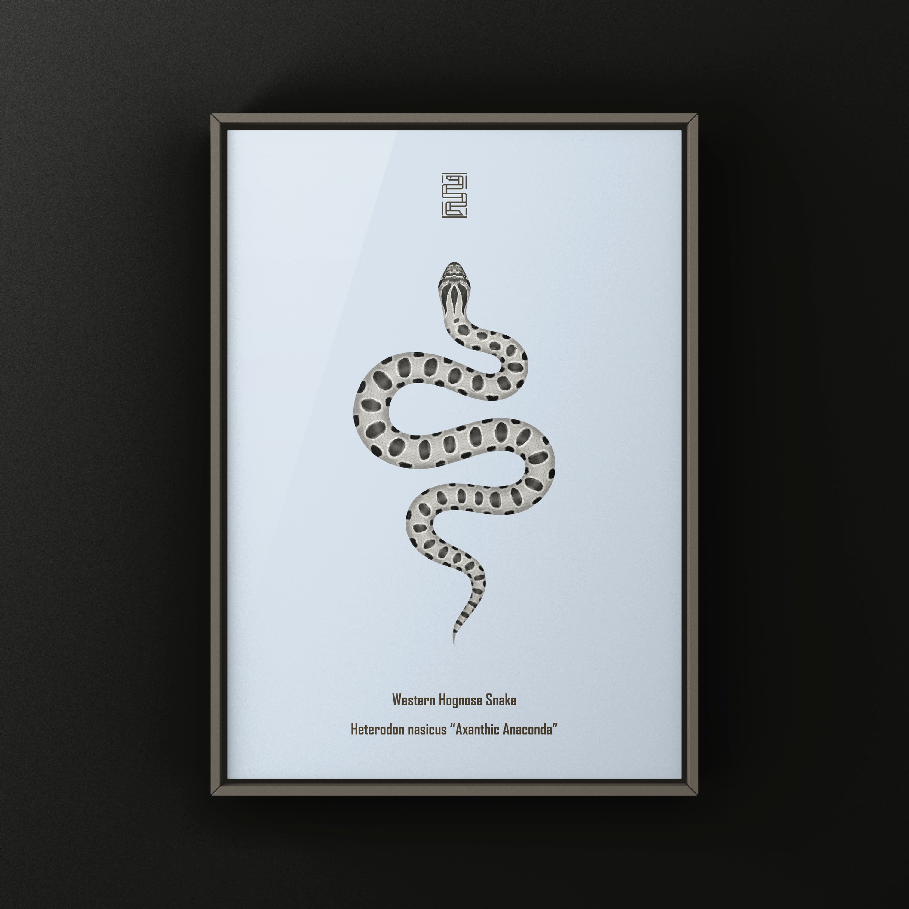 Super Anaconda Western Hognose Snake Art Print (Heterodon nasicus