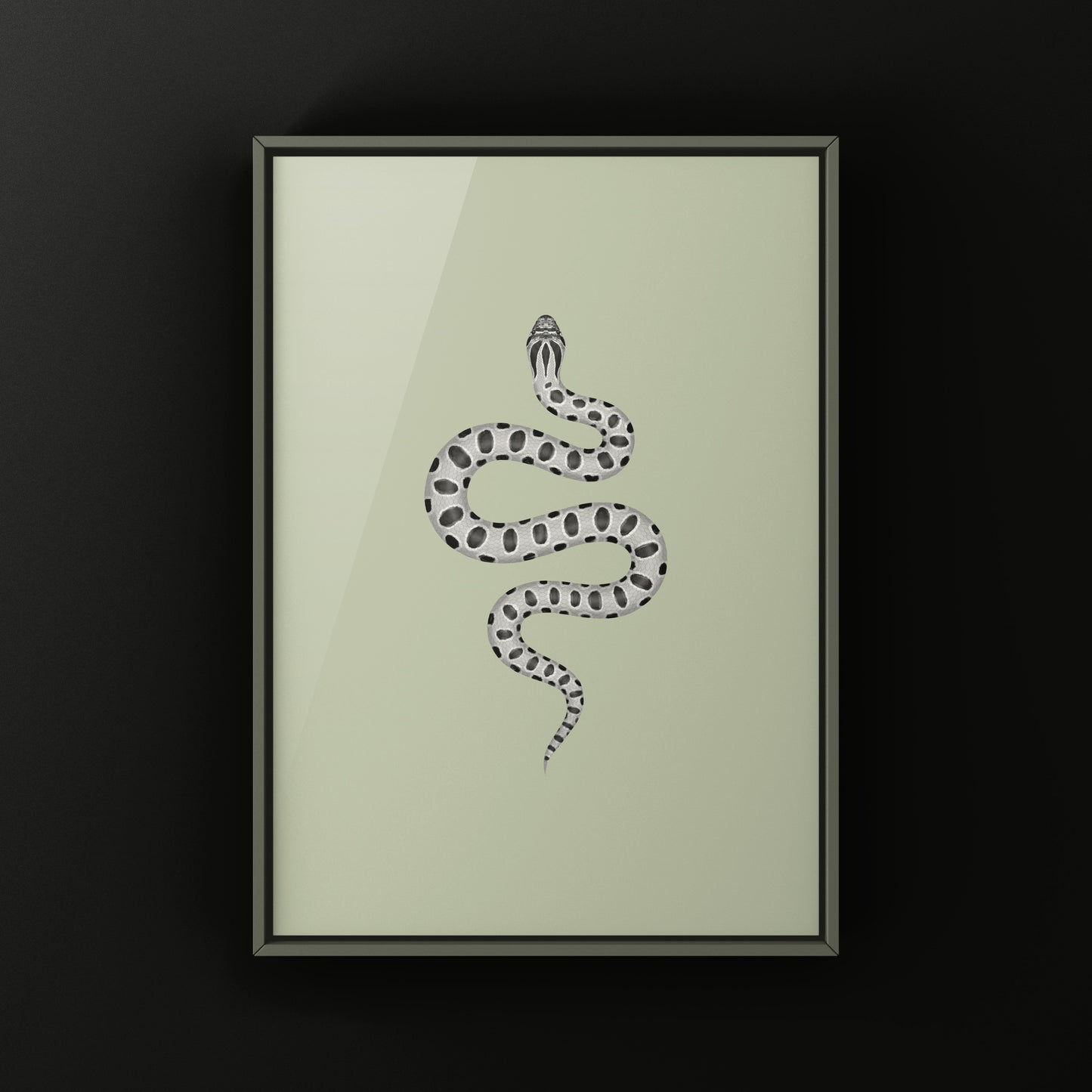 Axanthic Anaconda Western Hognose Snake Art Print (Heterodon nasicus) from The Silk Ranch