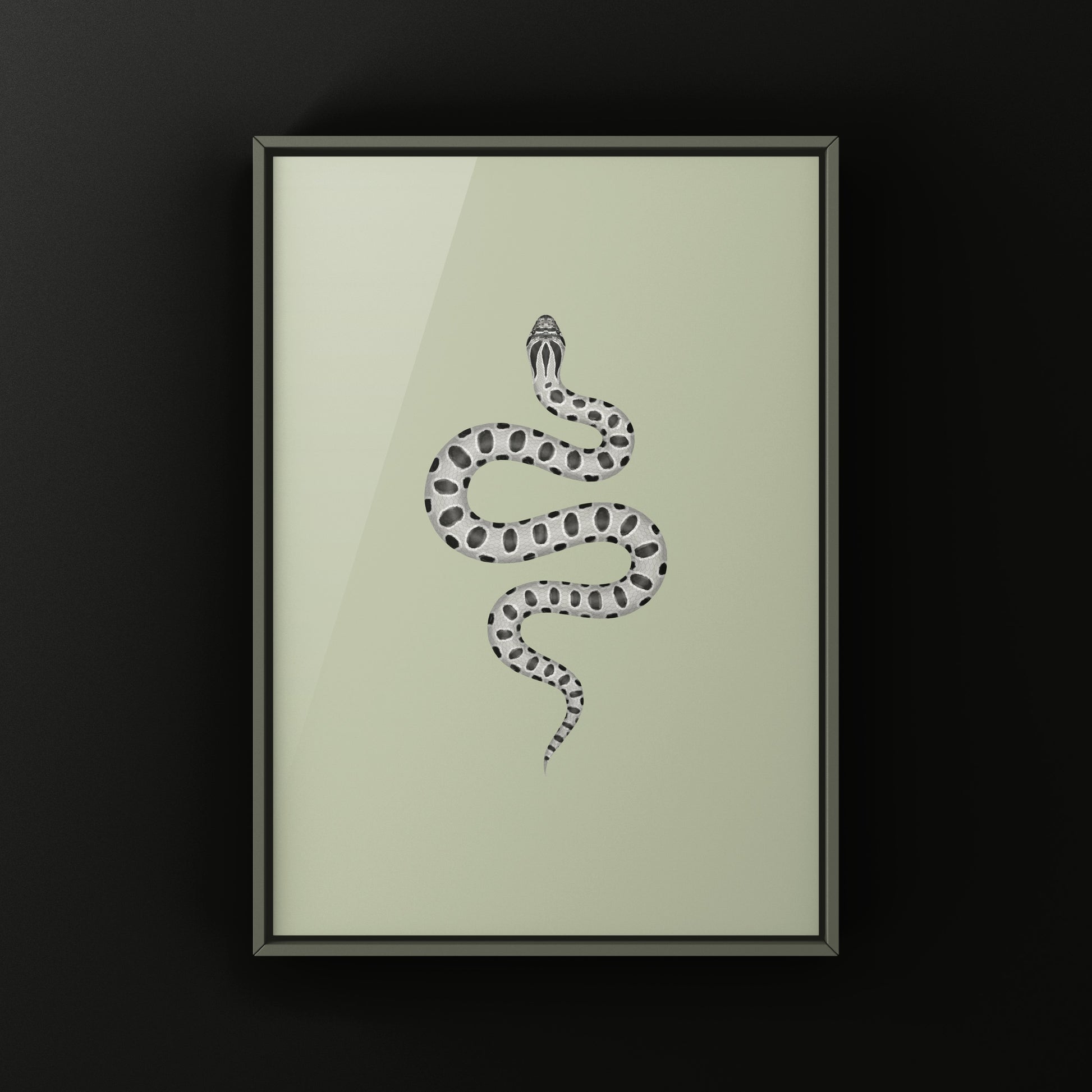 Axanthic Anaconda Western Hognose Snake Art Print (Heterodon nasicus) from The Silk Ranch