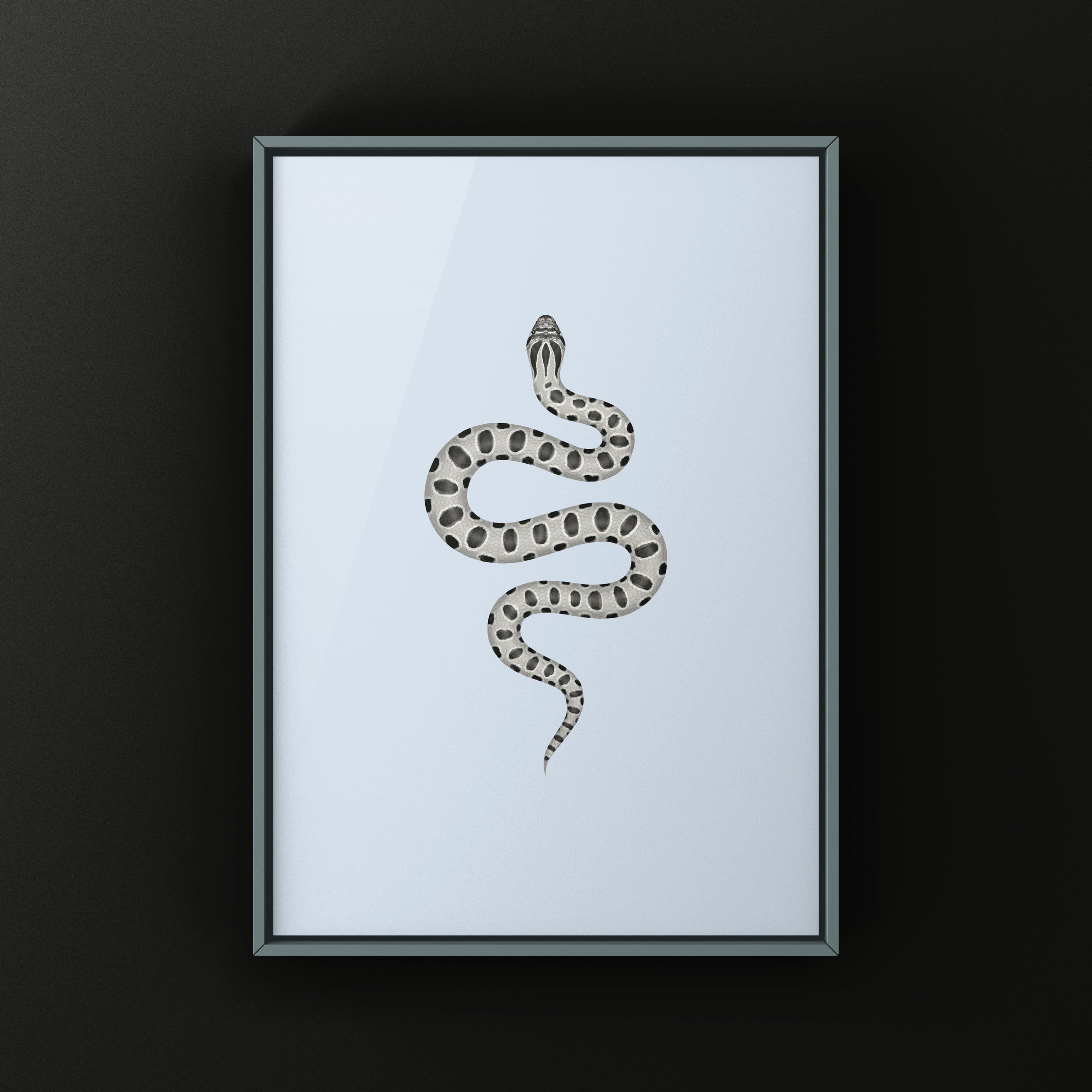 Super Anaconda Western Hognose Snake Art Print (Heterodon nasicus