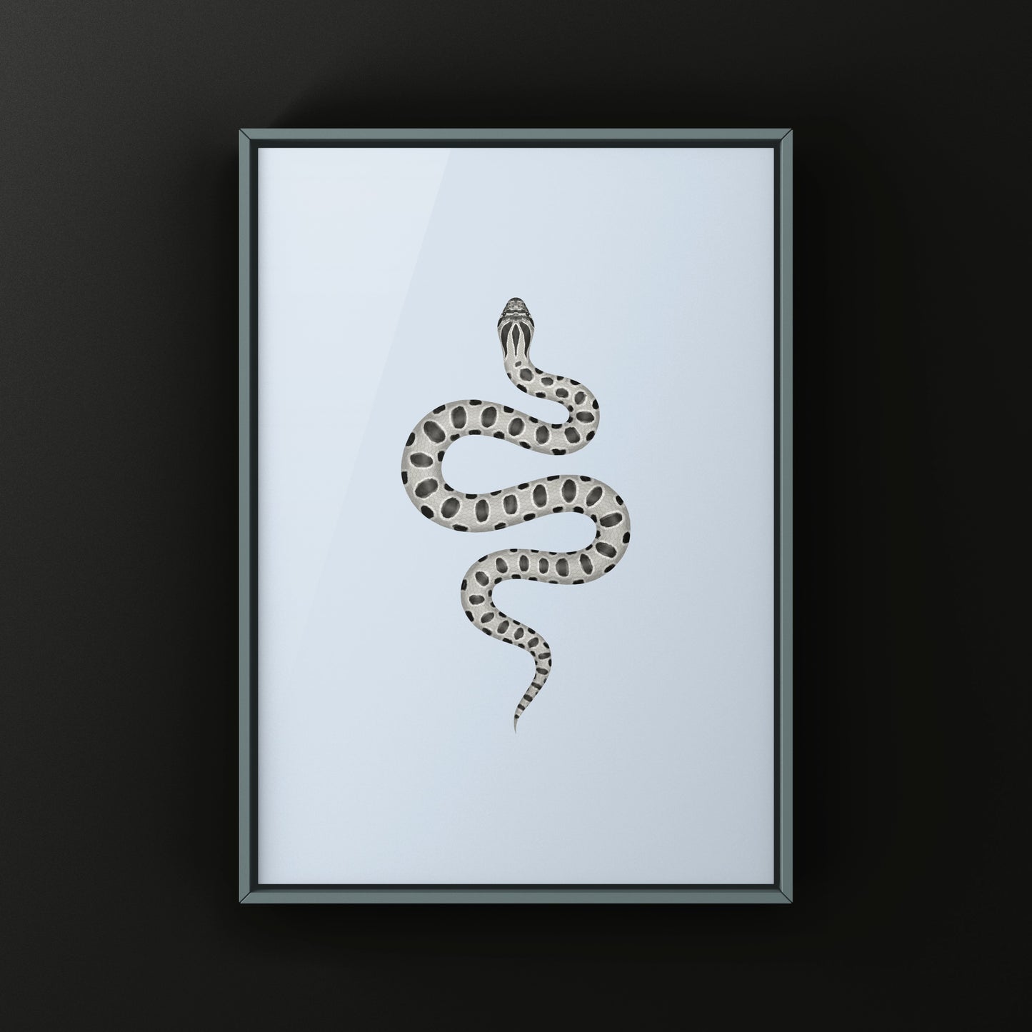 Axanthic Anaconda Western Hognose Snake Art Print (Heterodon nasicus) from The Silk Ranch