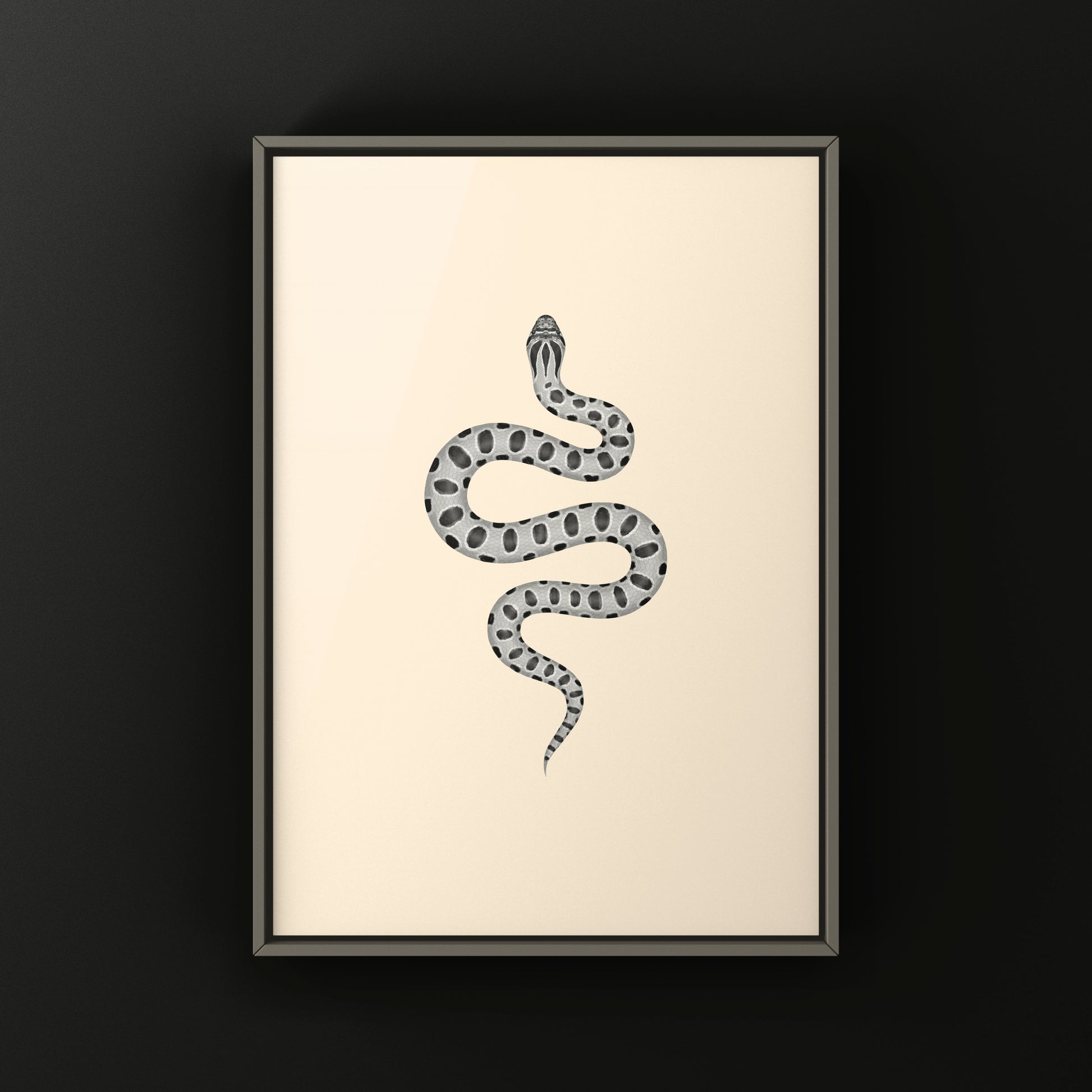 Axanthic Anaconda Western Hognose Snake Art Print (Heterodon nasicus) from The Silk Ranch