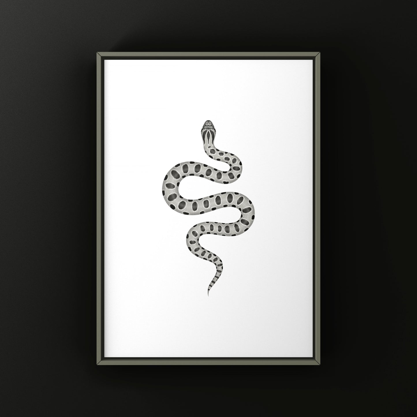 Axanthic Anaconda Western Hognose Snake Art Print (Heterodon nasicus) from The Silk Ranch
