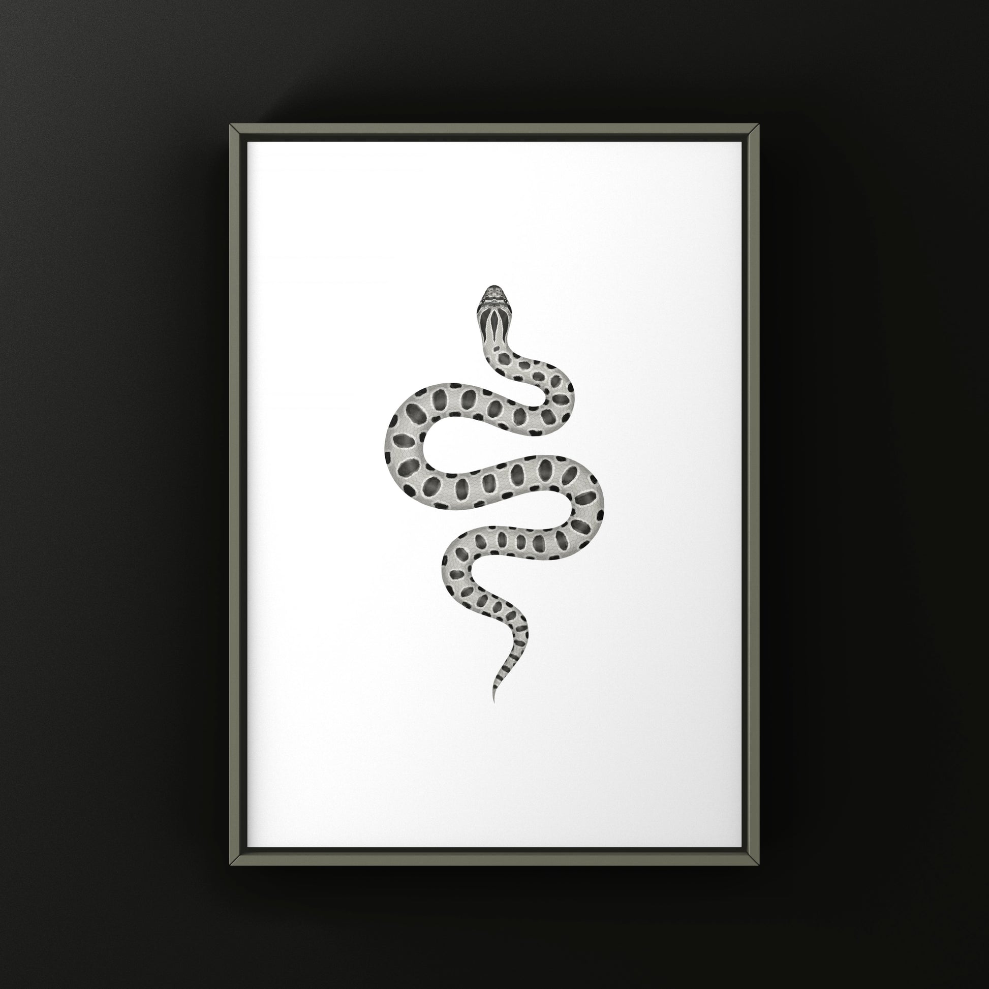 Axanthic Anaconda Western Hognose Snake Art Print (Heterodon nasicus) from The Silk Ranch