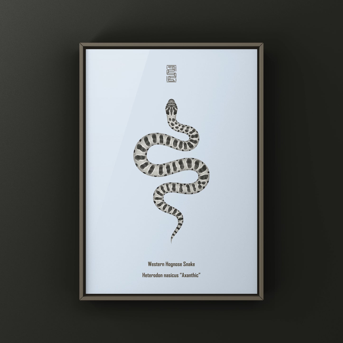 Axanthic Western Hognose Snake Art Print (Heterodon nasicus) from The Silk Ranch