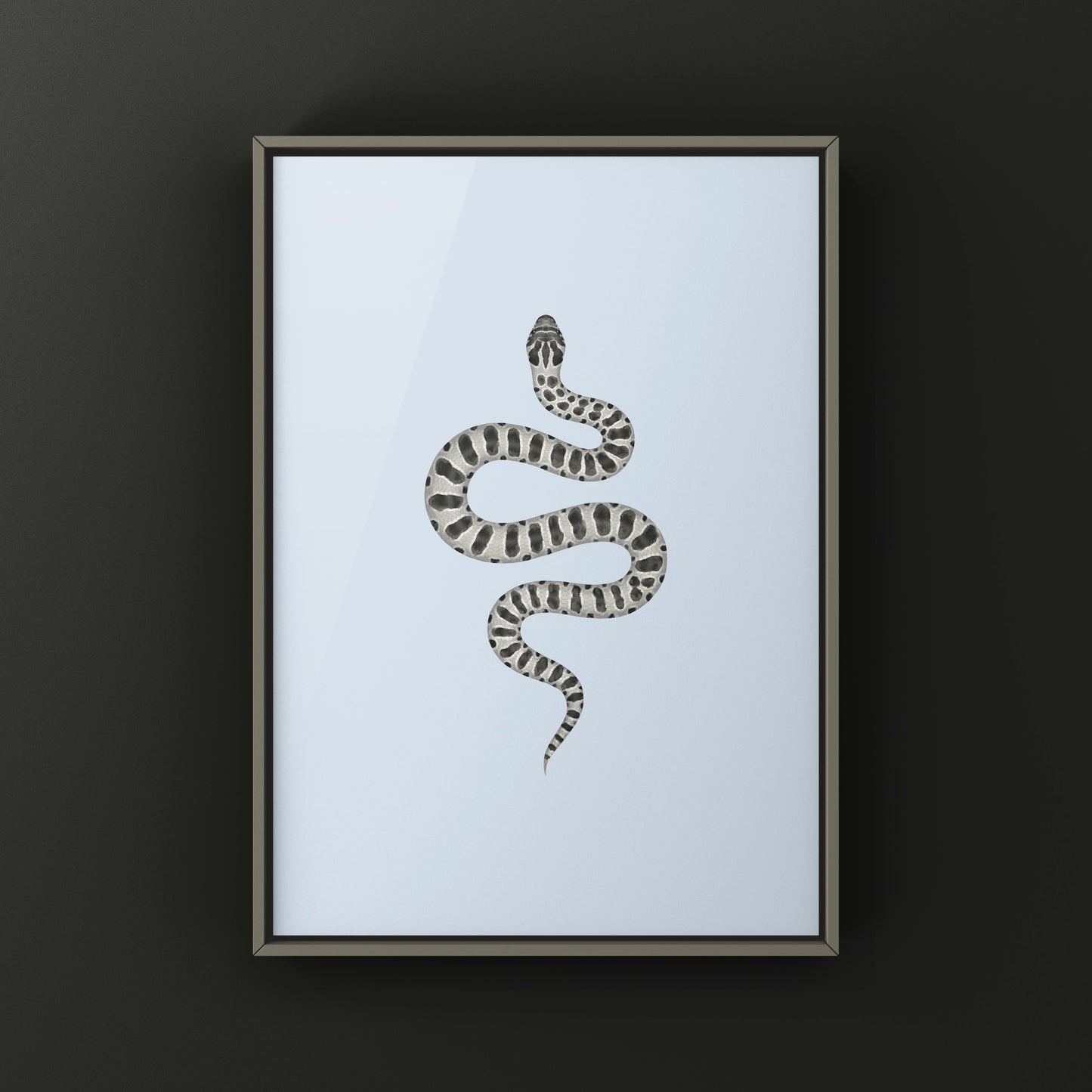Axanthic Western Hognose Snake Art Print (Heterodon nasicus) from The Silk Ranch