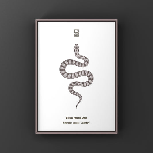 Lavender Western Hognose Snake Art Print (Heterodon nasicus) from The Silk Ranch