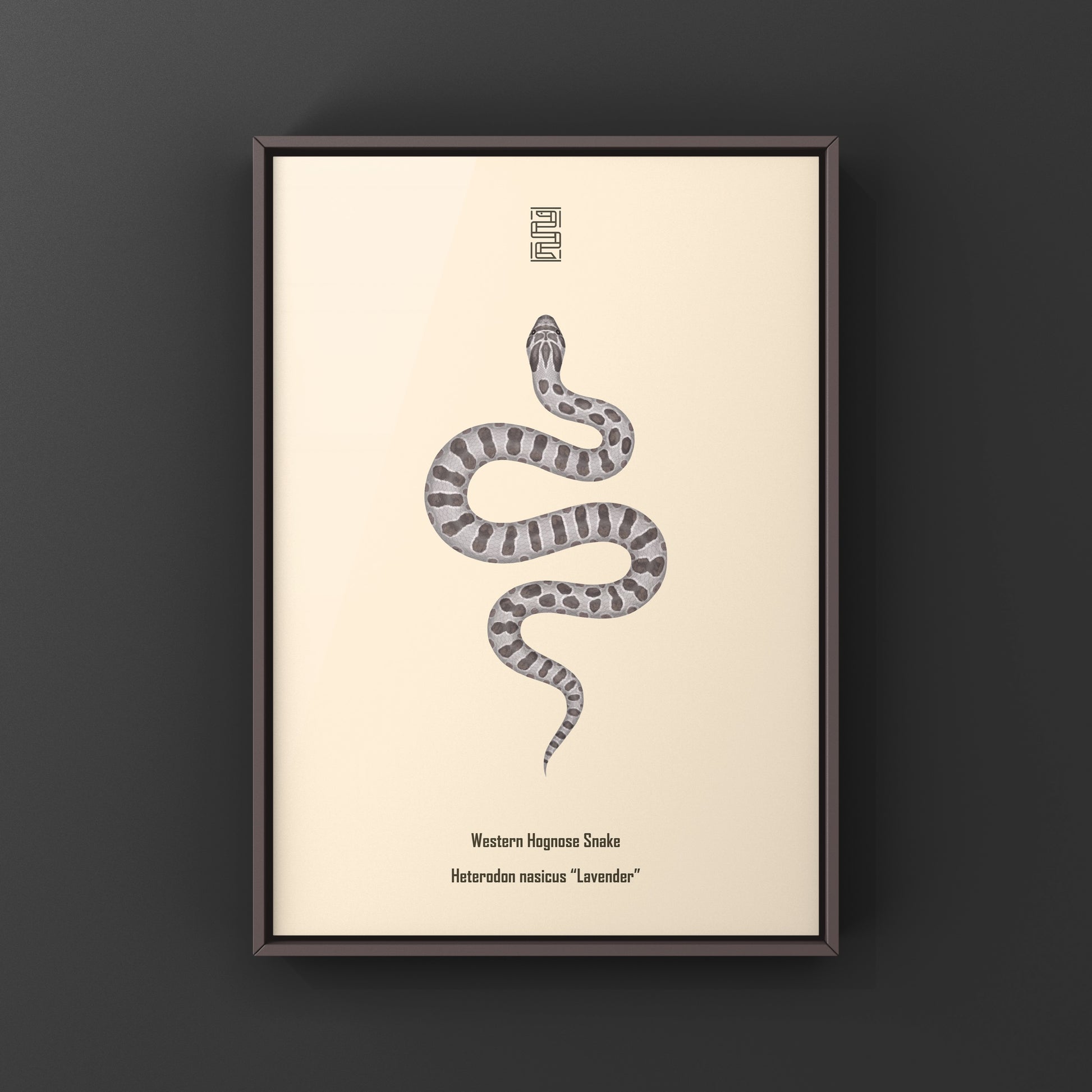 Lavender Western Hognose Snake Art Print (Heterodon nasicus) from The Silk Ranch