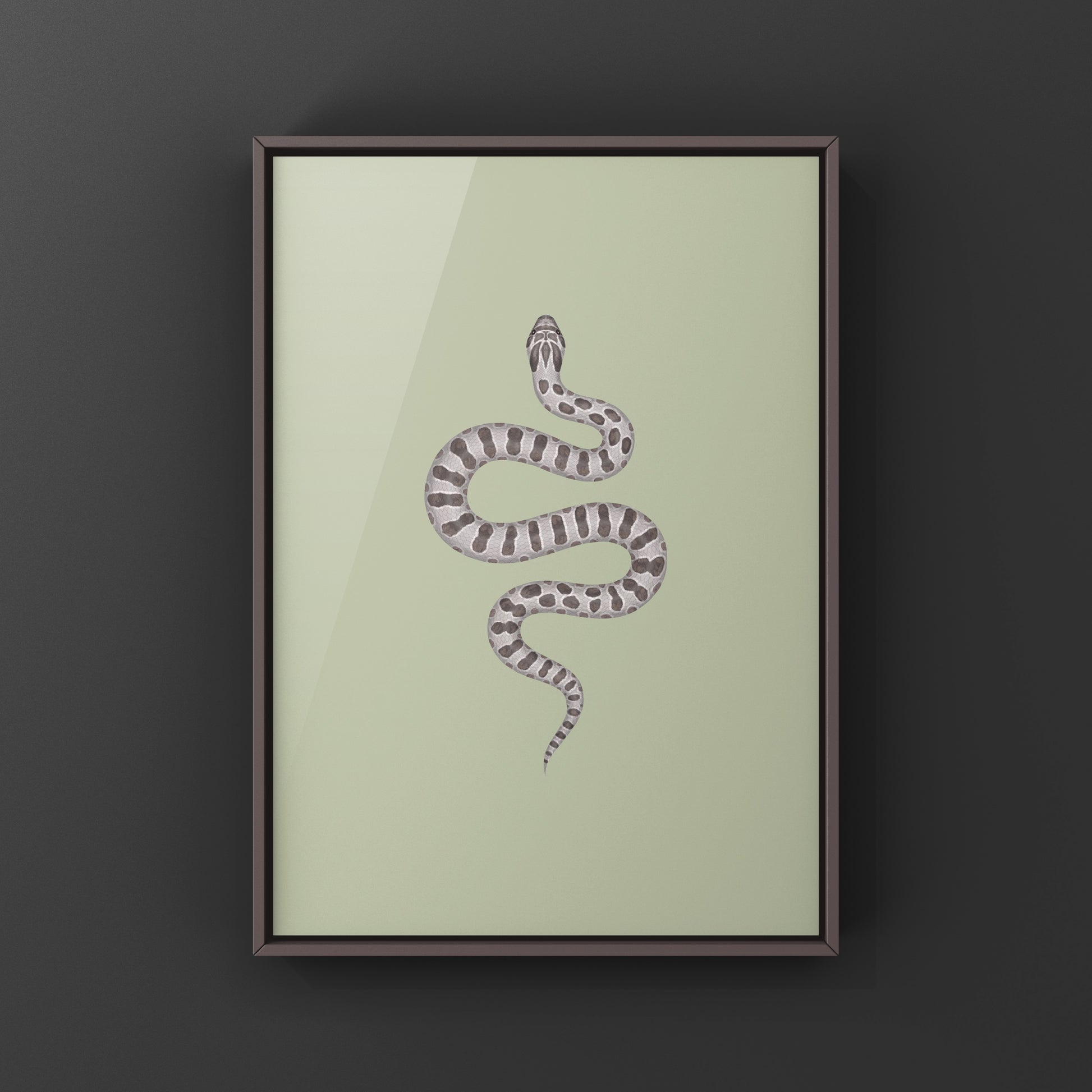 Lavender Western Hognose Snake Art Print (Heterodon nasicus) from The Silk Ranch