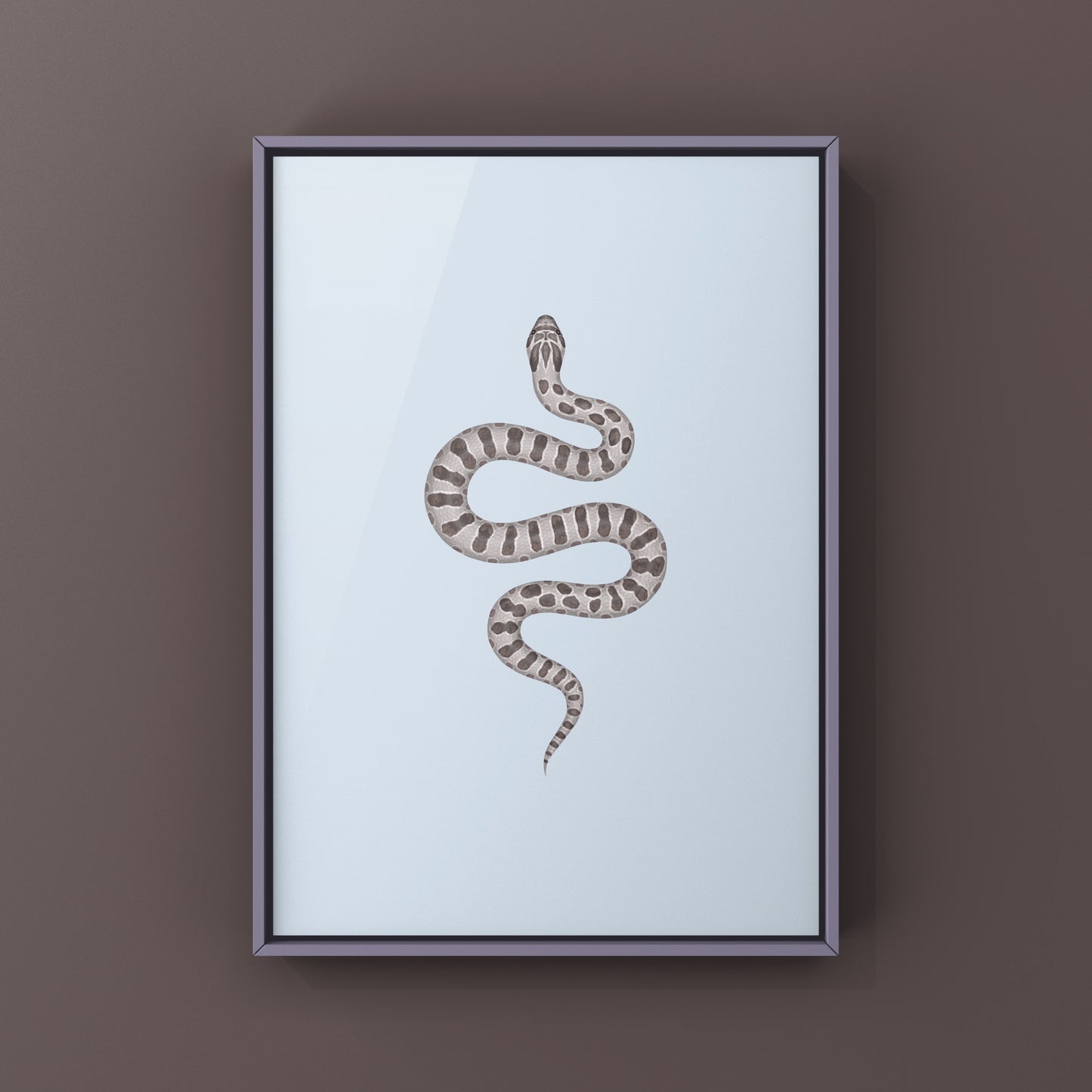 Lavender Western Hognose Snake Art Print (Heterodon nasicus) from The Silk Ranch