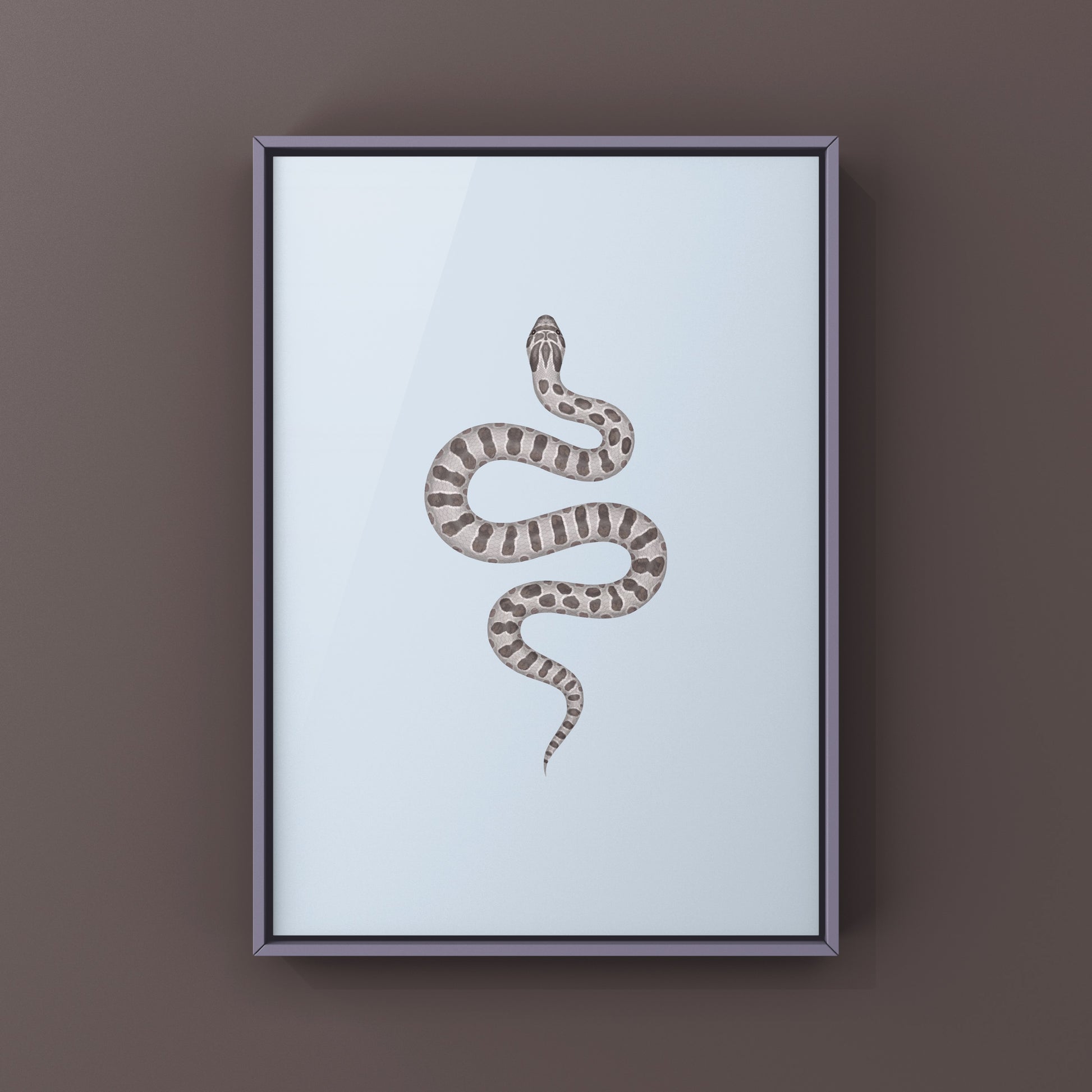 Lavender Western Hognose Snake Art Print (Heterodon nasicus) from The Silk Ranch