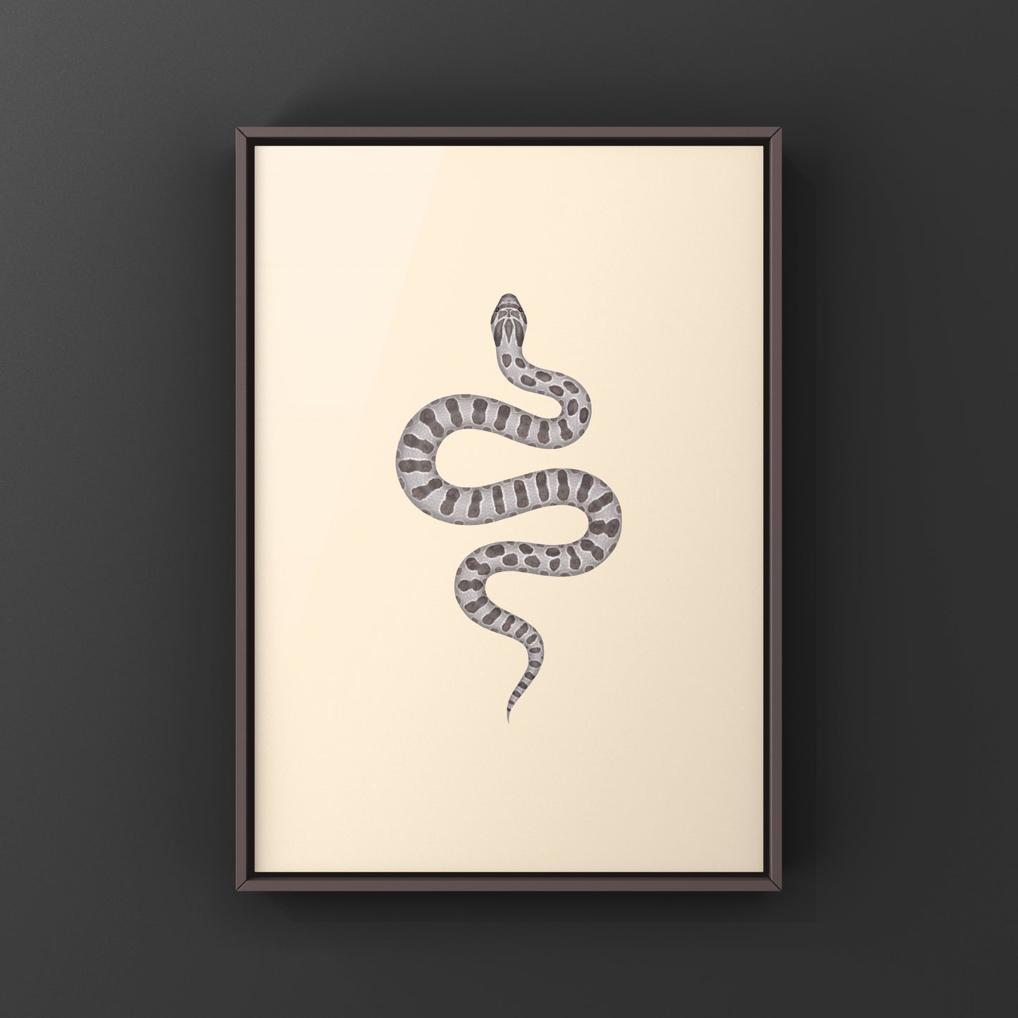 Lavender Western Hognose Snake Art Print (Heterodon nasicus) from The Silk Ranch