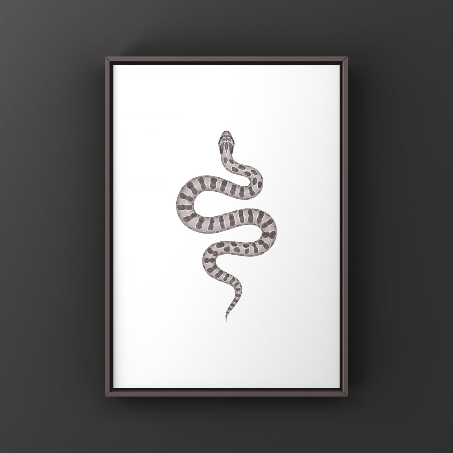 Lavender Western Hognose Snake Art Print (Heterodon nasicus) from The Silk Ranch
