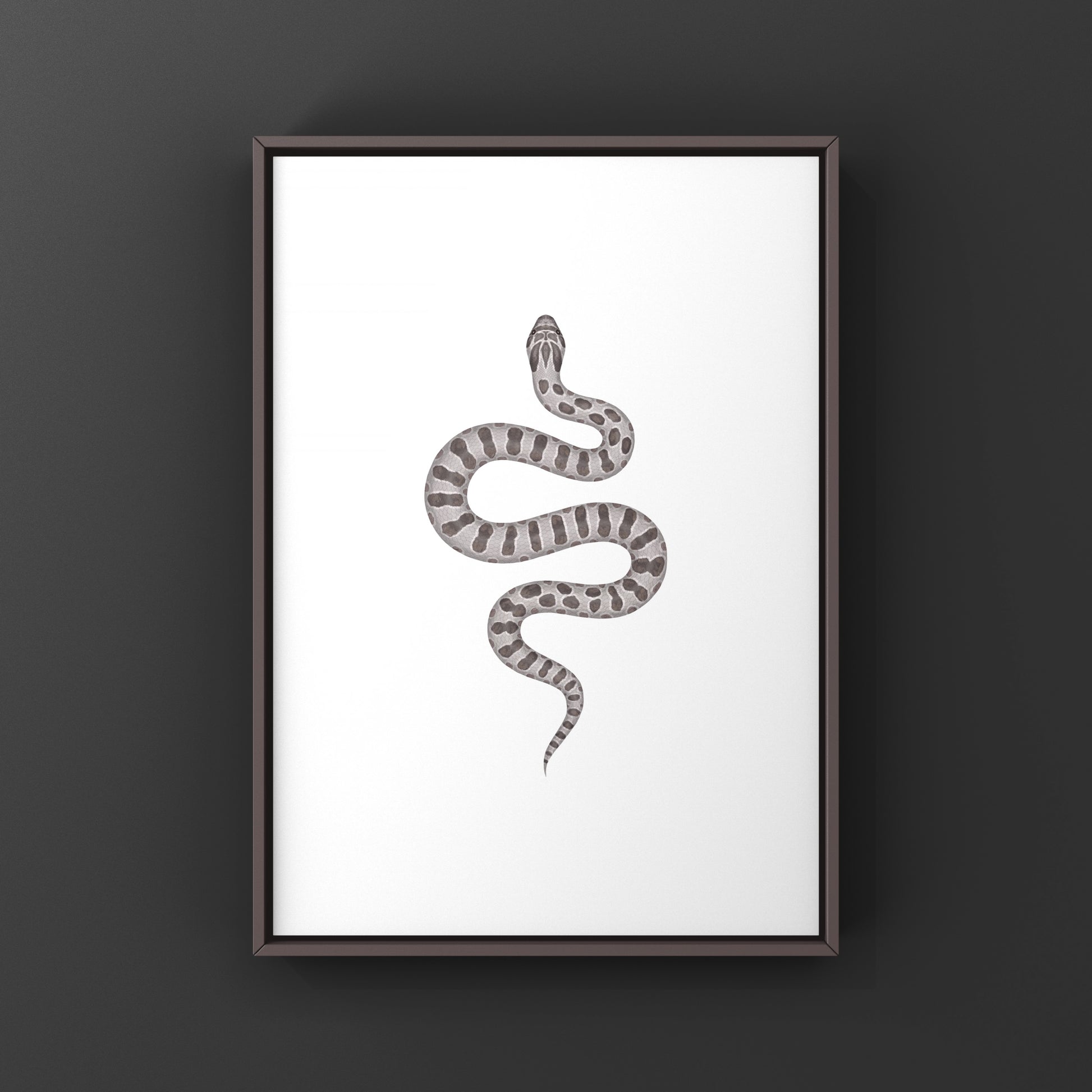 Lavender Western Hognose Snake Art Print (Heterodon nasicus) from The Silk Ranch