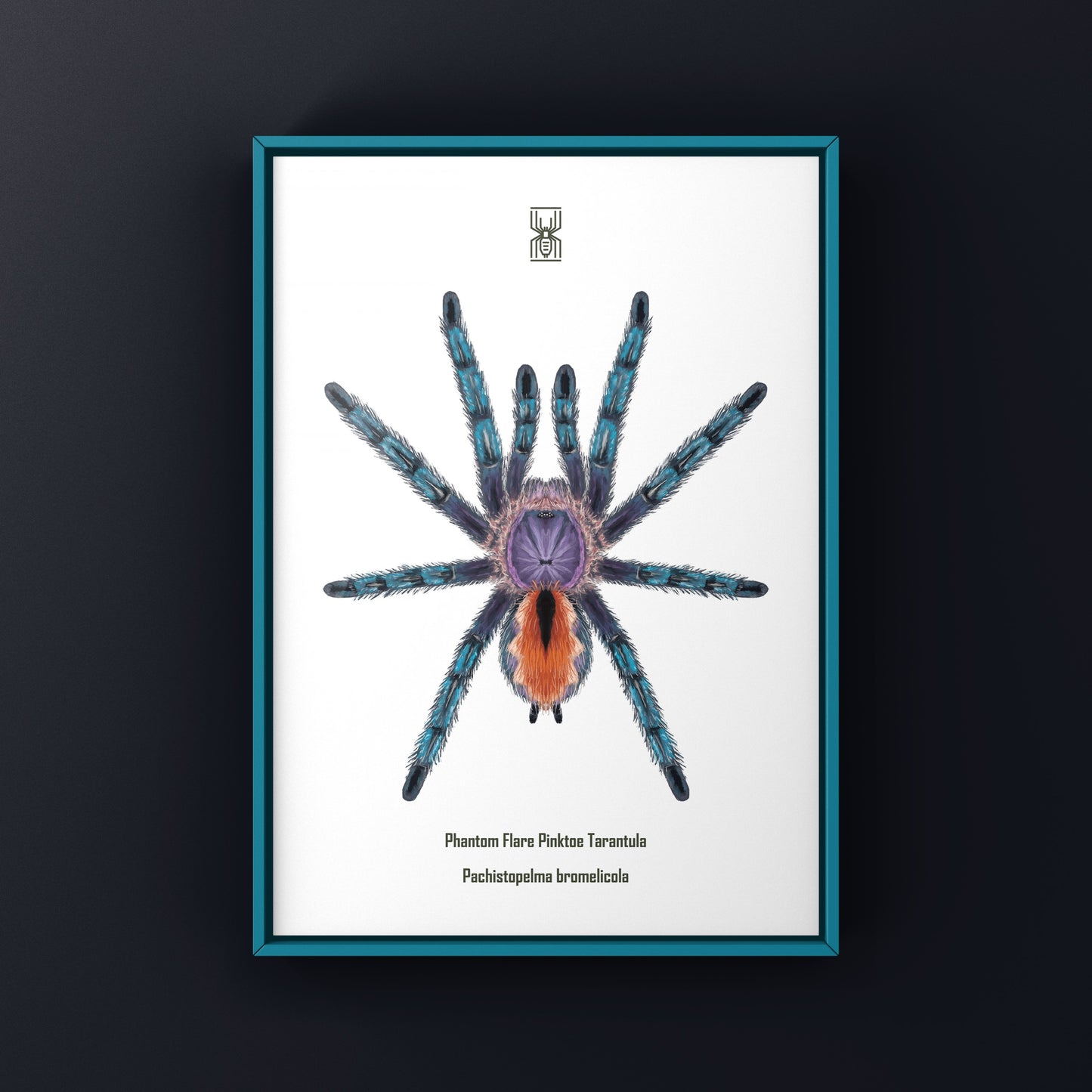 Tarantula Art Print (Tiktok 101-200)