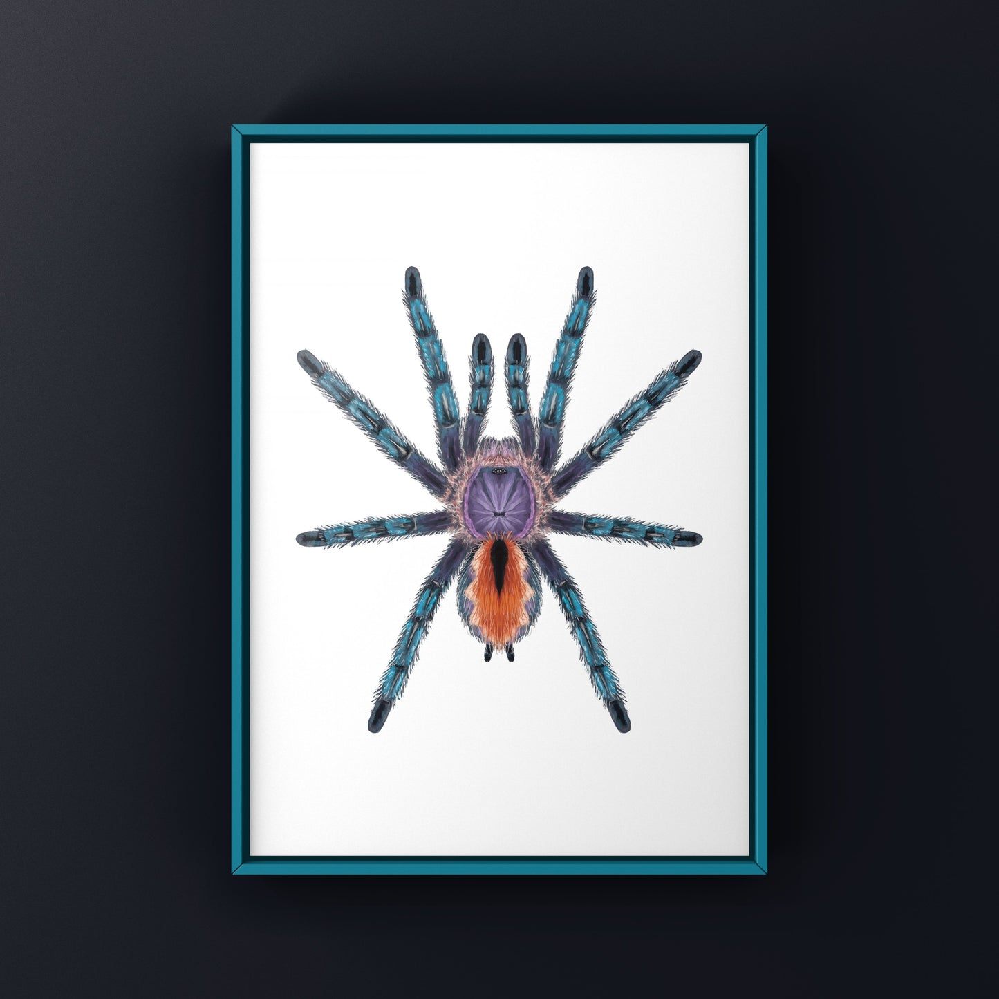Pinktoe tarantula art print featuring Pachistopelma bromelicola by The Silk Ranch, showcasing detailed, vibrant spider illustration.