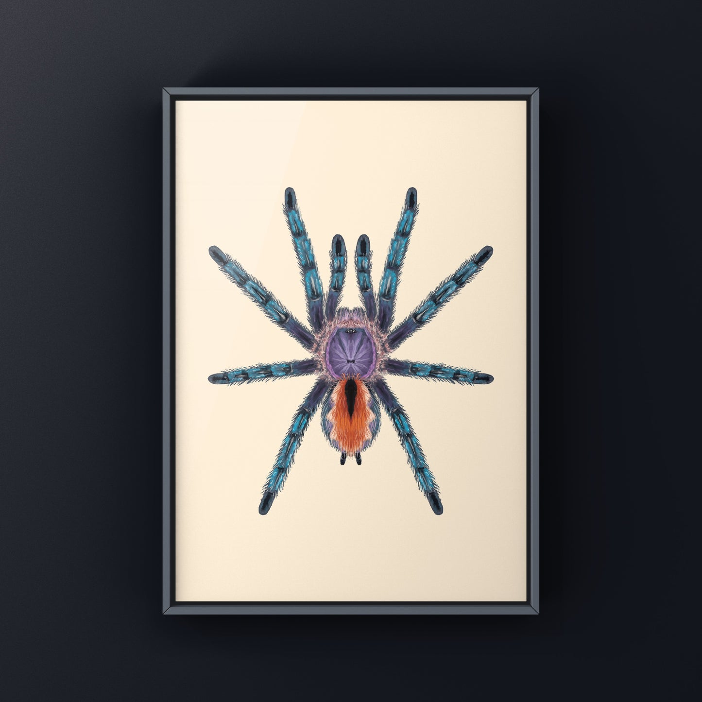 Pinktoe tarantula art print featuring a vibrant Pachistopelma bromelicola by The Silk Ranch, showcasing detailed arachnid illustration.