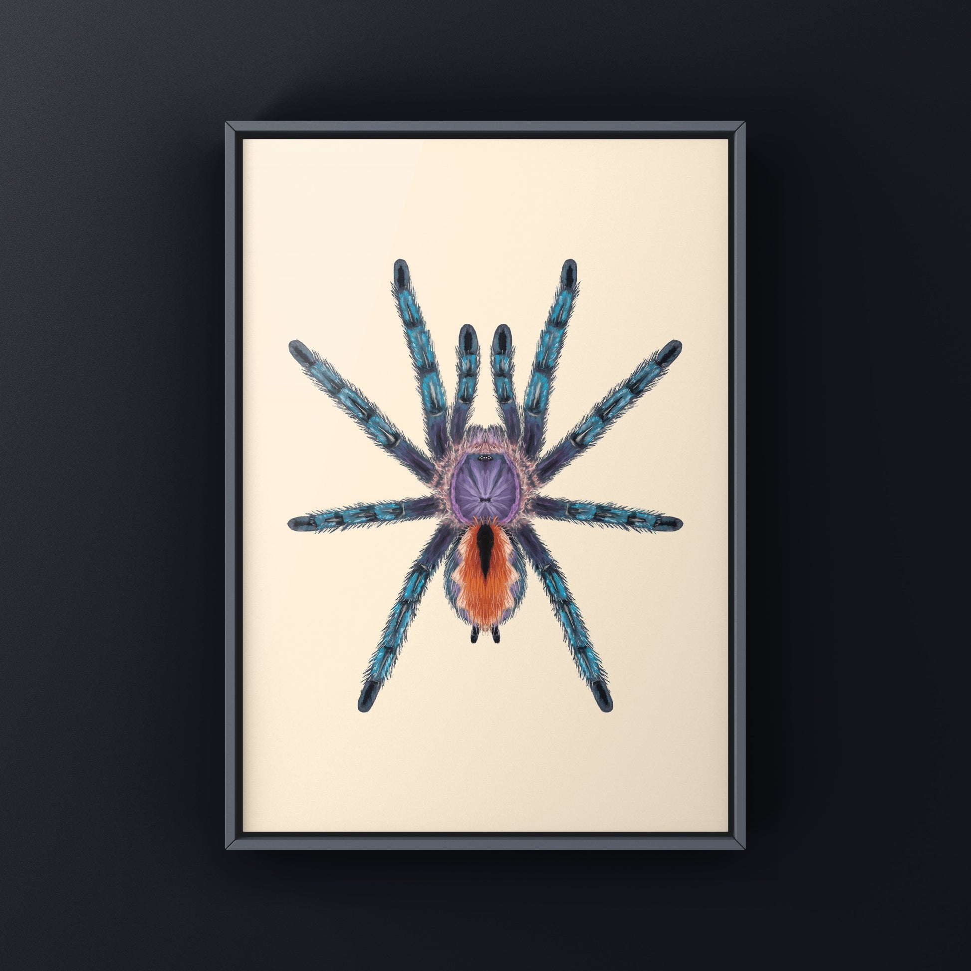 Pinktoe tarantula art print featuring a vibrant Pachistopelma bromelicola by The Silk Ranch, showcasing detailed arachnid illustration.