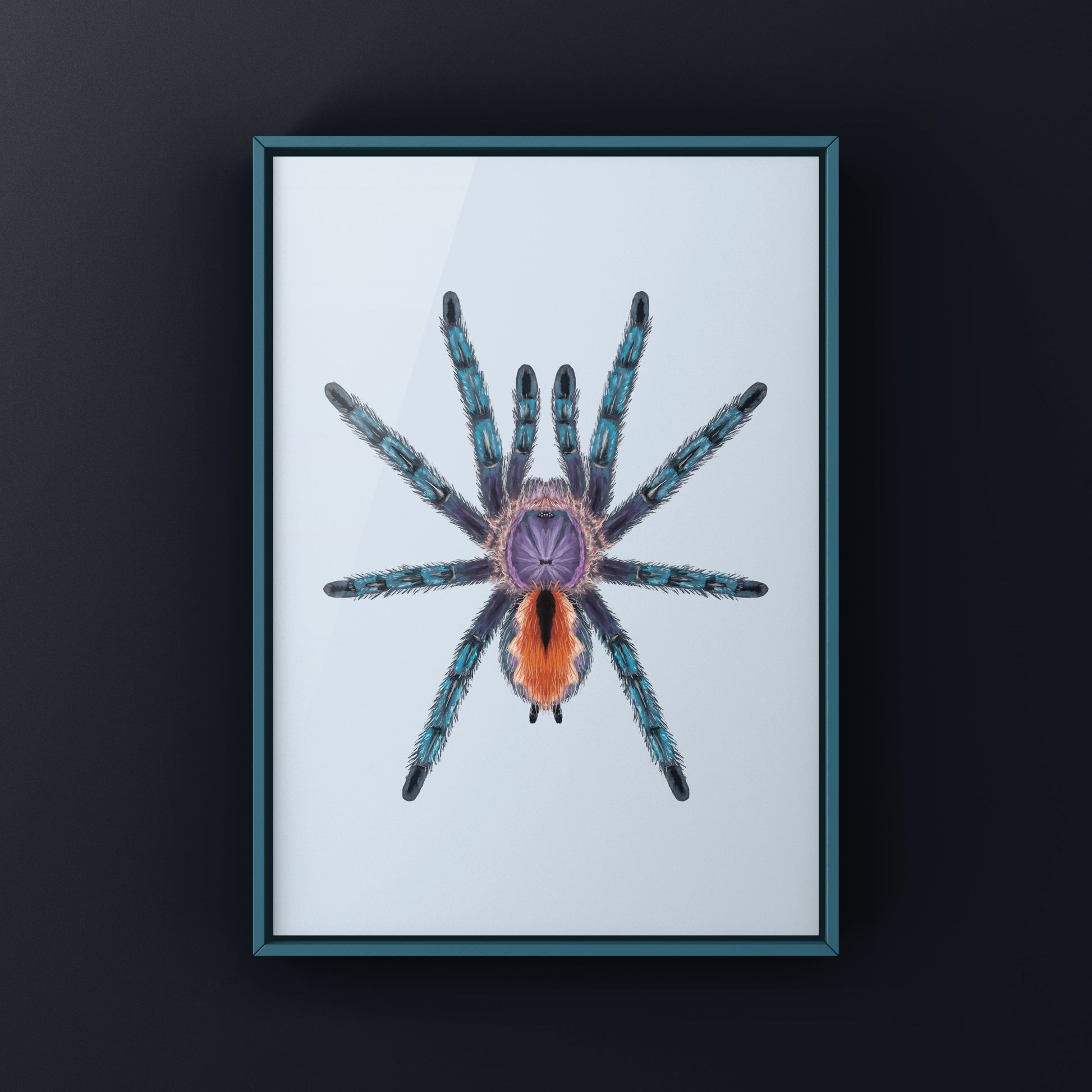 Pinktoe tarantula art print featuring a vibrant Pachistopelma bromelicola spider on a neutral background, by The Silk Ranch.