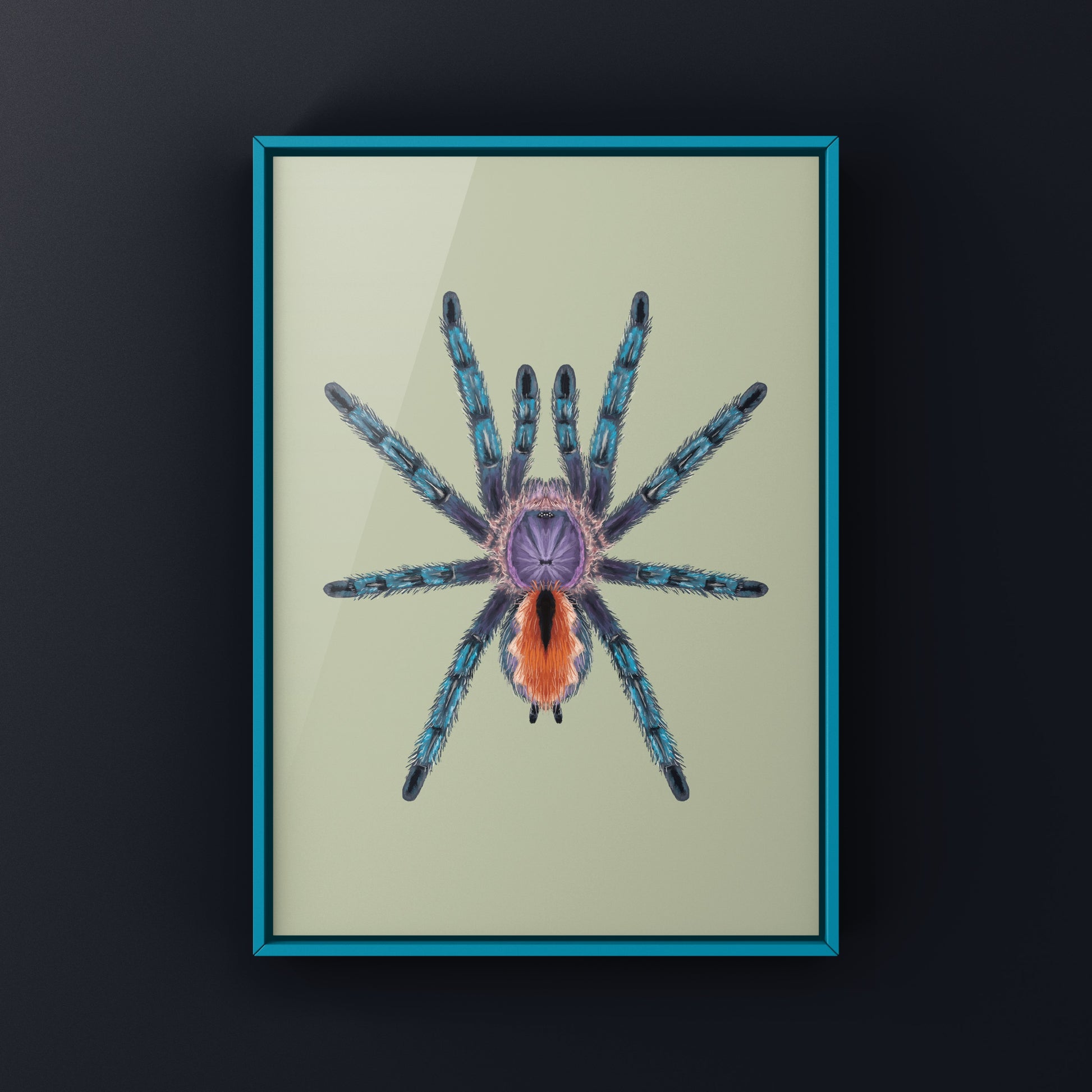 Pinktoe tarantula art print featuring a vibrant pink and brown spider from Pachistopelma bromelicola, by The Silk Ranch.