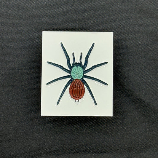 1.5 Inch Enamel Pin - Chromatopelma cyaneopubescens