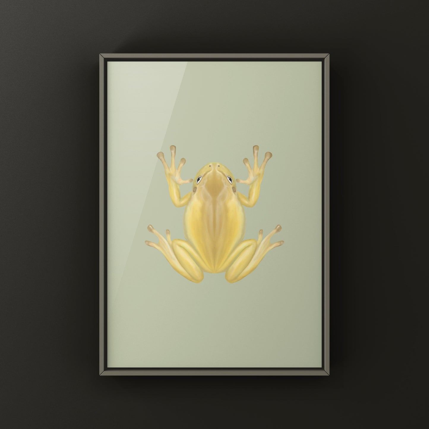 Yellow Phase White’s Tree Frog Art Print (Ranoidea caerulea) from The Silk Ranch