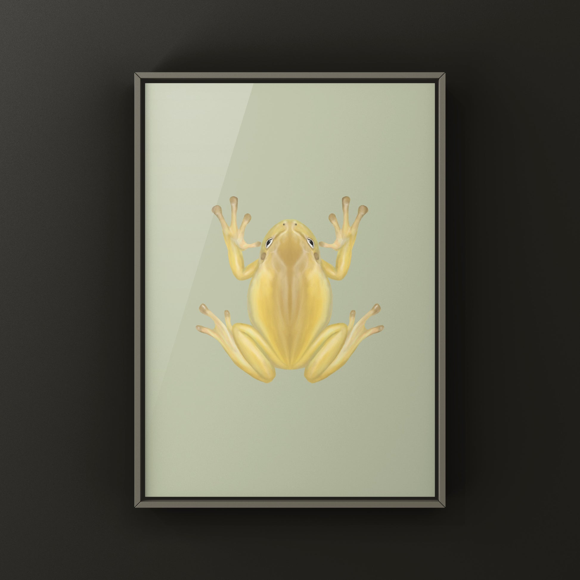Yellow Phase White’s Tree Frog Art Print (Ranoidea caerulea) from The Silk Ranch
