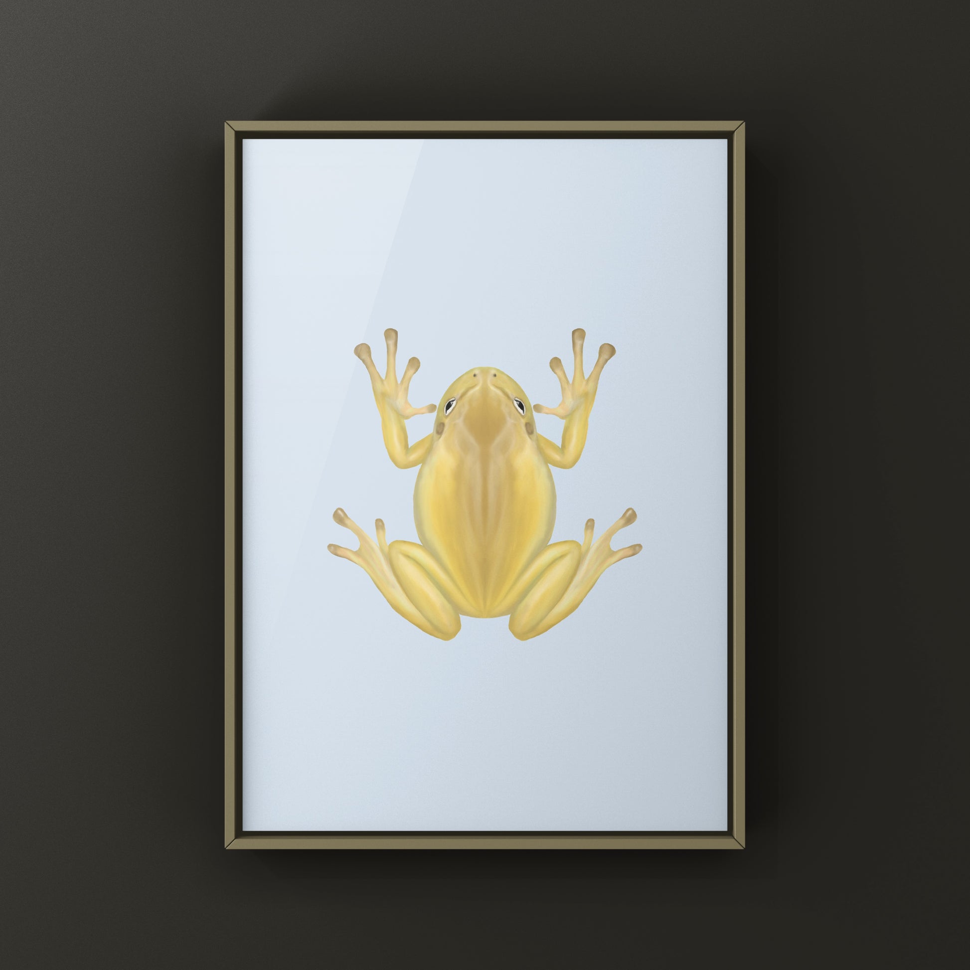 Yellow Phase White’s Tree Frog Art Print (Ranoidea caerulea) from The Silk Ranch