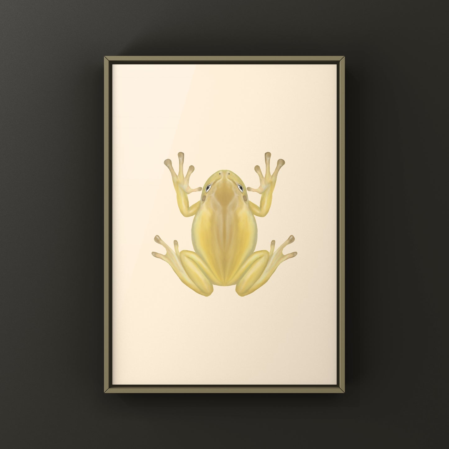 Yellow Phase White’s Tree Frog Art Print (Ranoidea caerulea) from The Silk Ranch