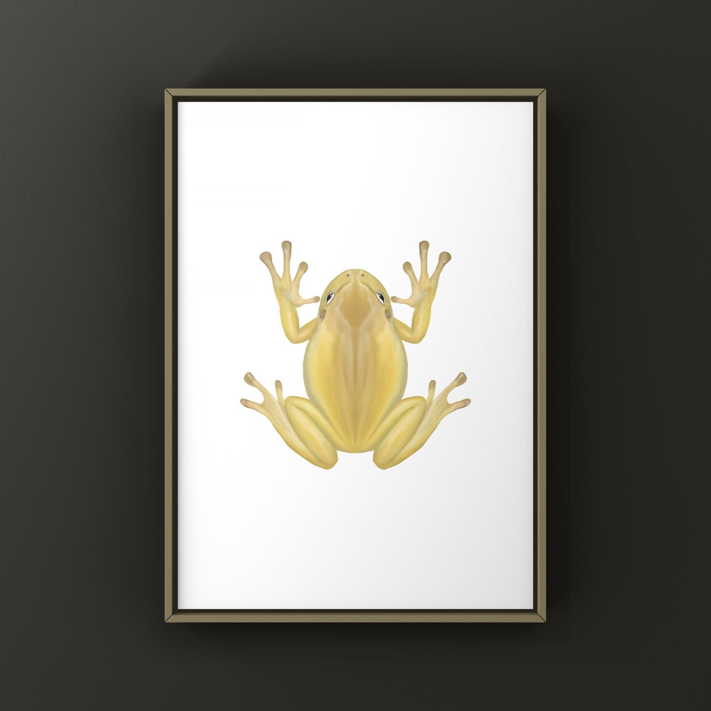 Yellow Phase White’s Tree Frog Art Print (Ranoidea caerulea) from The Silk Ranch