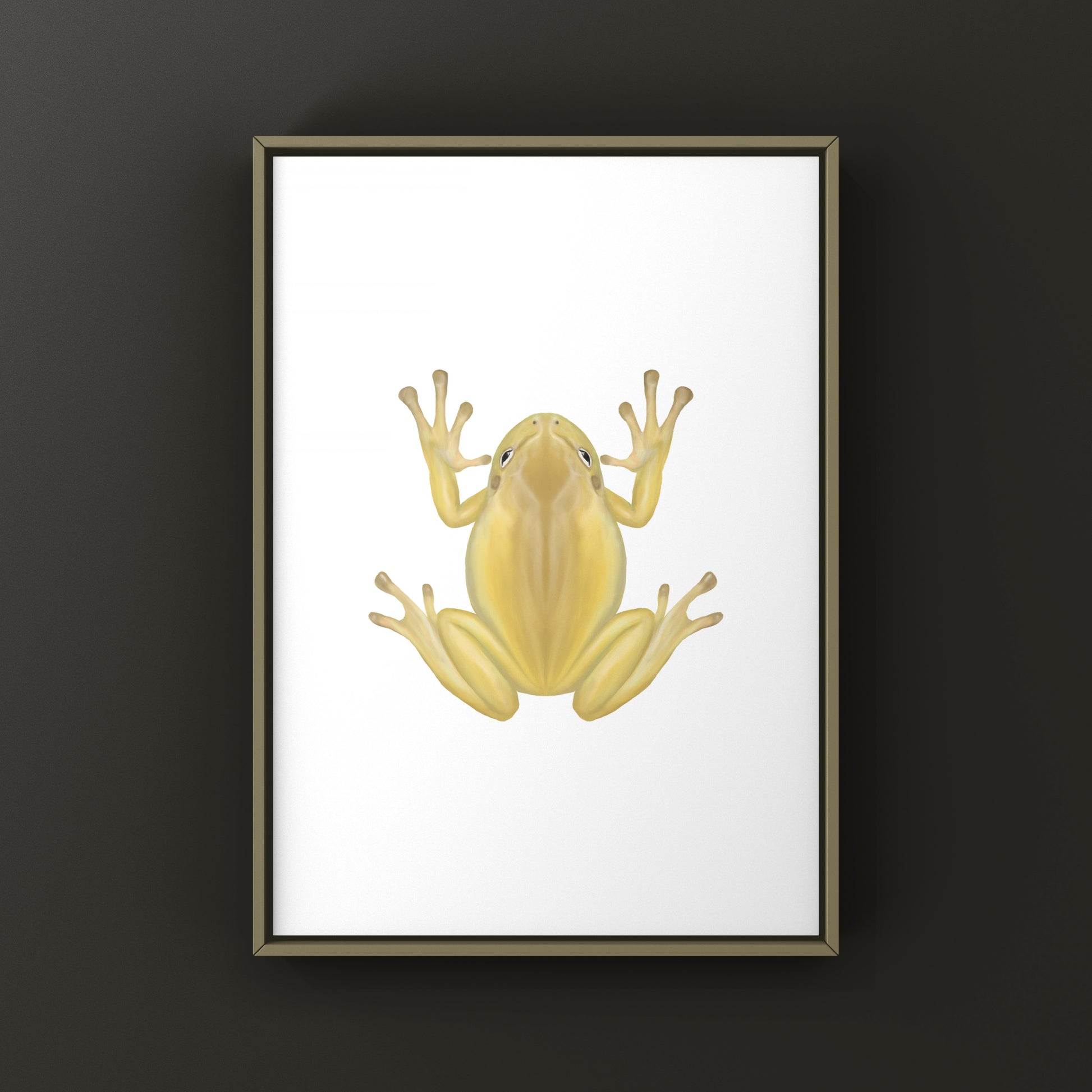 Yellow Phase White’s Tree Frog Art Print (Ranoidea caerulea) from The Silk Ranch