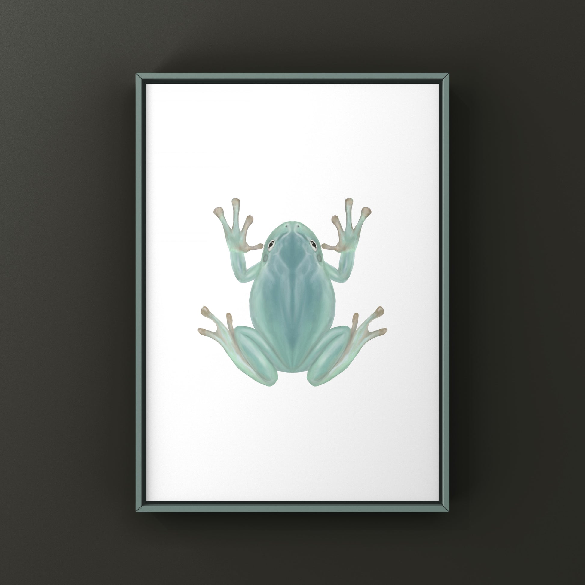 Blue Phase White’s Tree Frog Art Print (Ranoidea caerulea) from The Silk Ranch