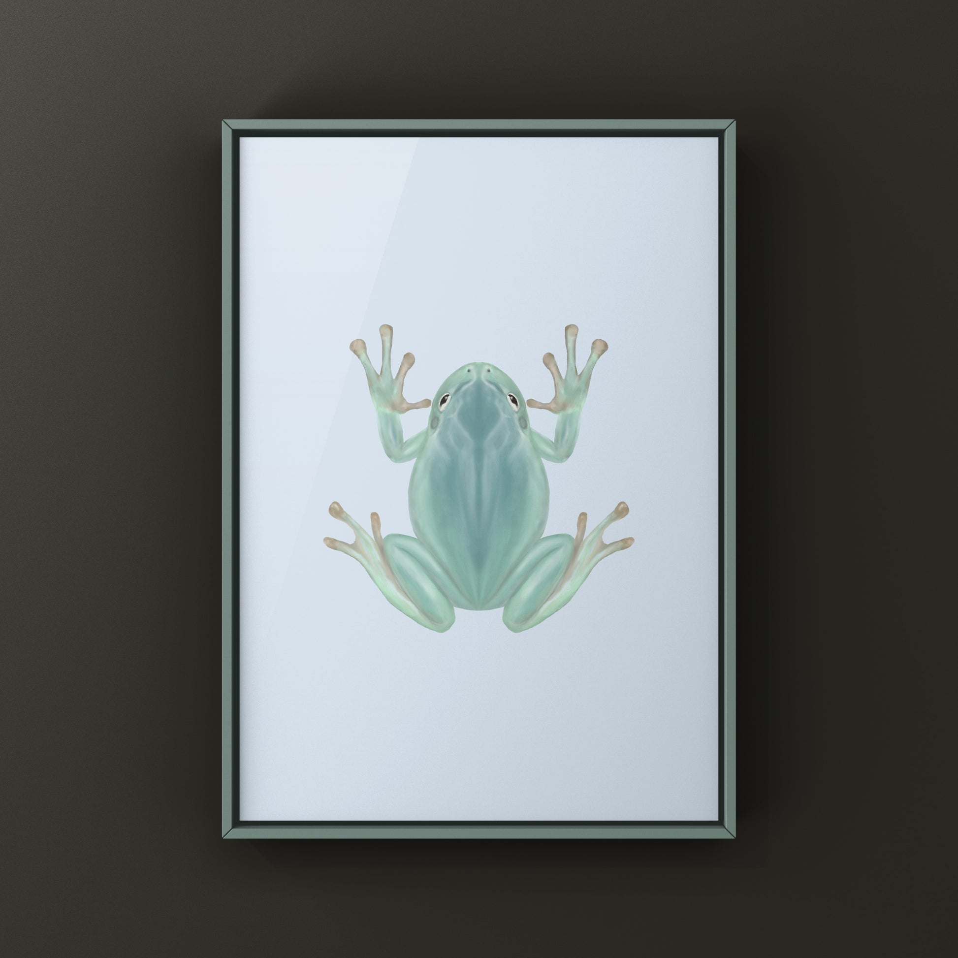 Blue Phase White’s Tree Frog Art Print (Ranoidea caerulea) from The Silk Ranch