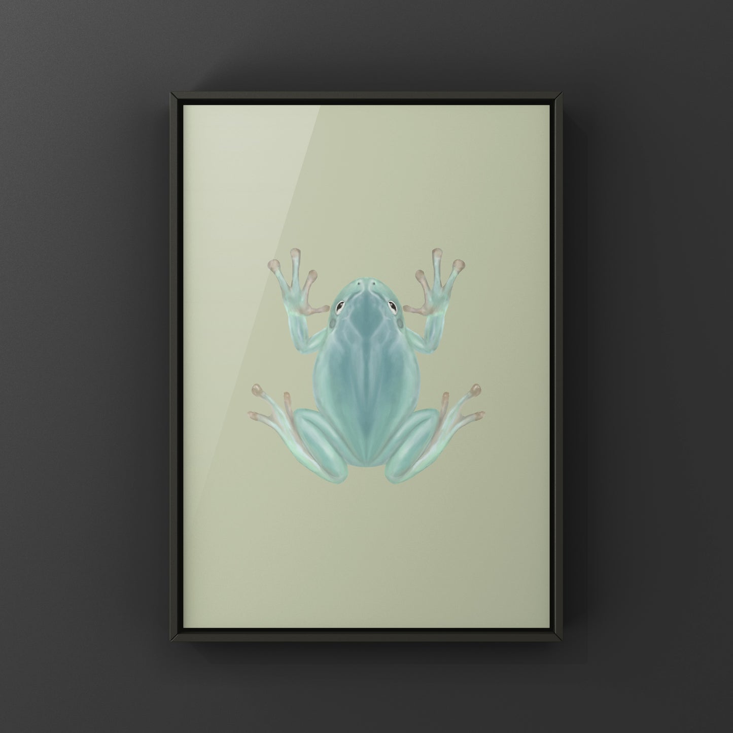 Blue Phase White’s Tree Frog Art Print (Ranoidea caerulea) from The Silk Ranch