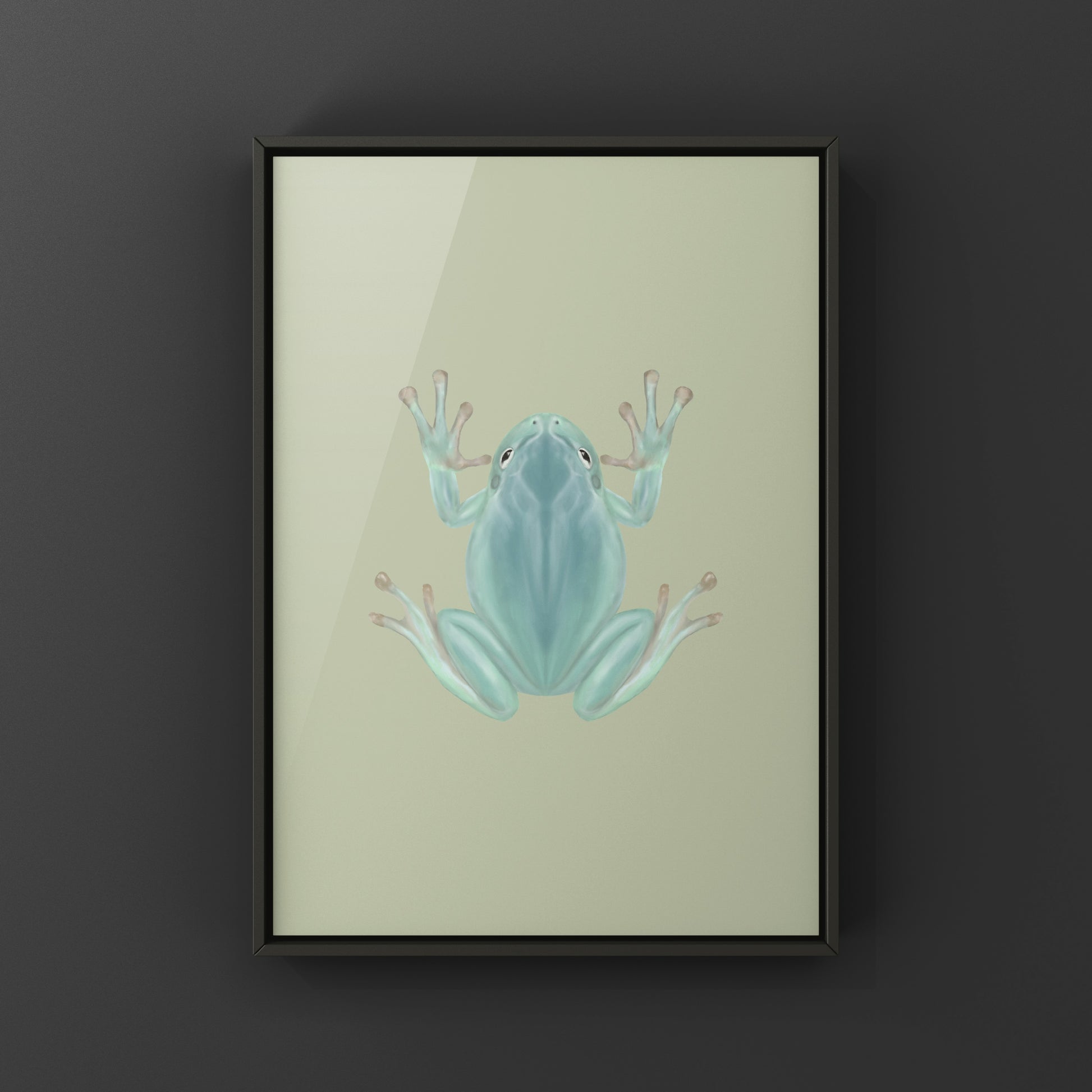 Blue Phase White’s Tree Frog Art Print (Ranoidea caerulea) from The Silk Ranch