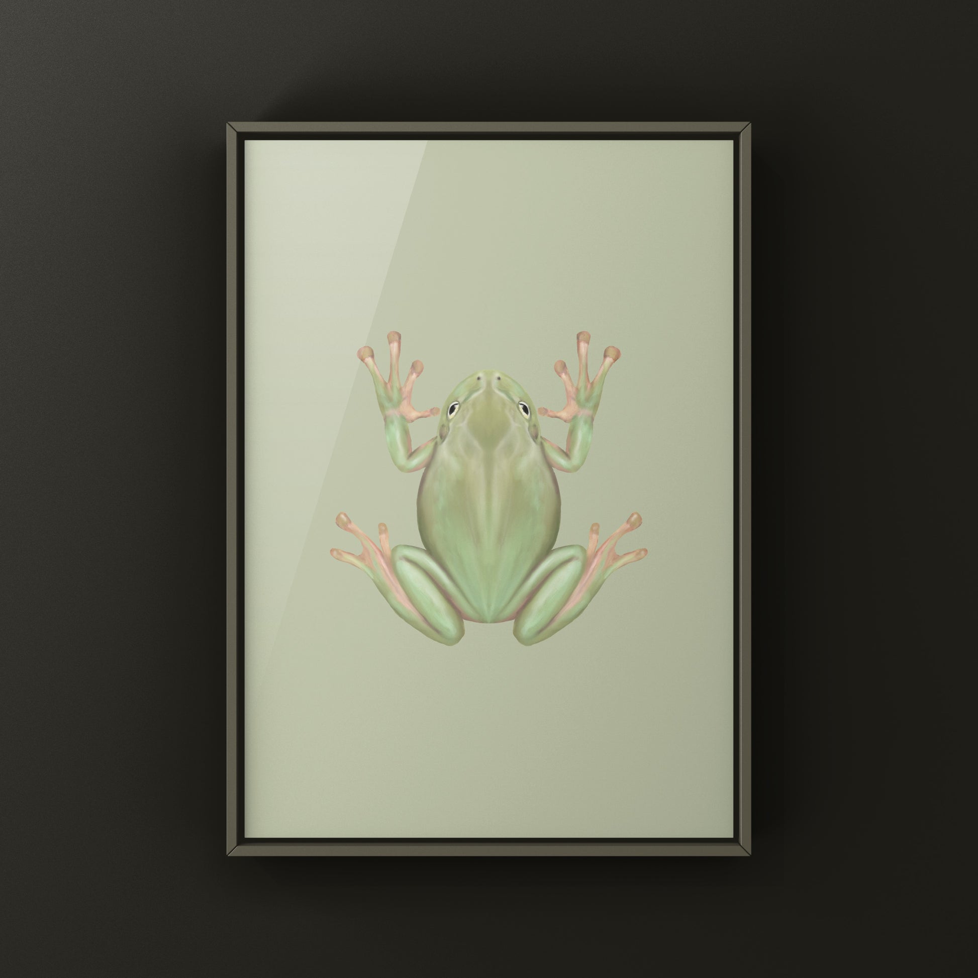 White’s Tree Frog Art Print (Ranoidea caerulea) from The Silk Ranch