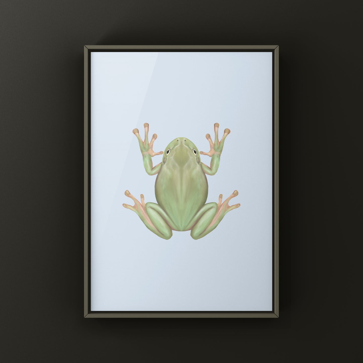 White’s Tree Frog Art Print (Ranoidea caerulea) from The Silk Ranch