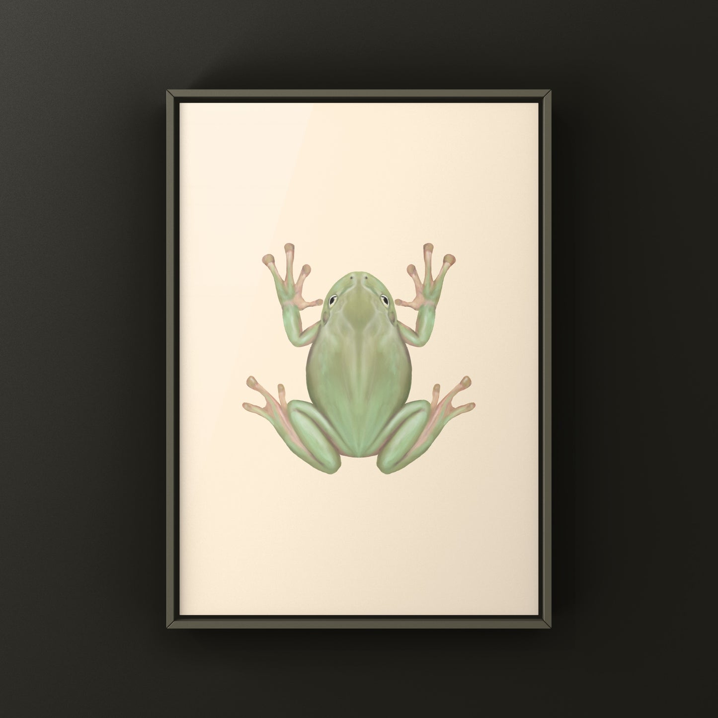 White’s Tree Frog Art Print (Ranoidea caerulea) from The Silk Ranch
